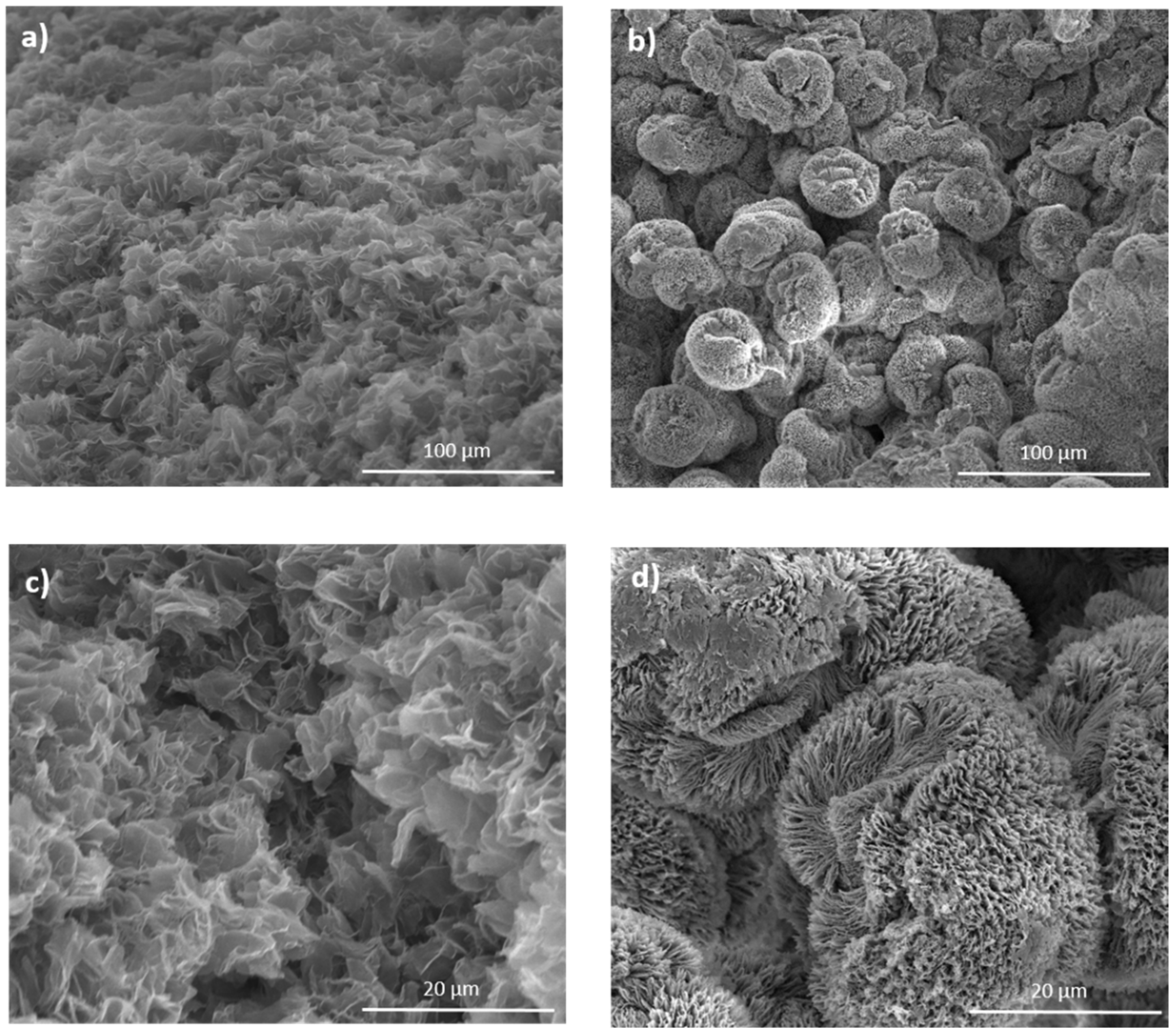 Molecules 27 02137 g003