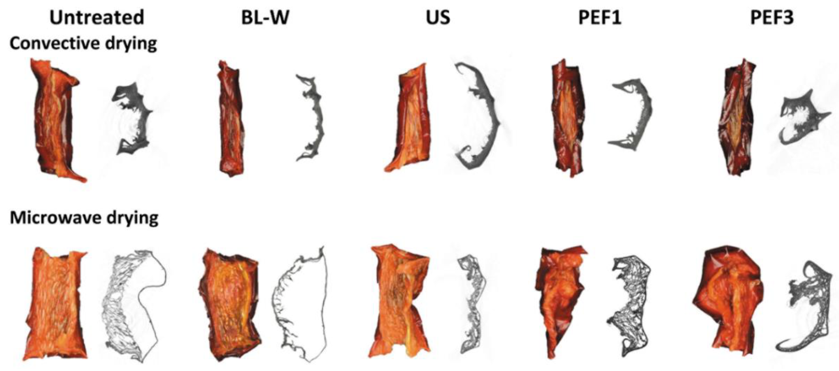 Molecules 27 02164 g002