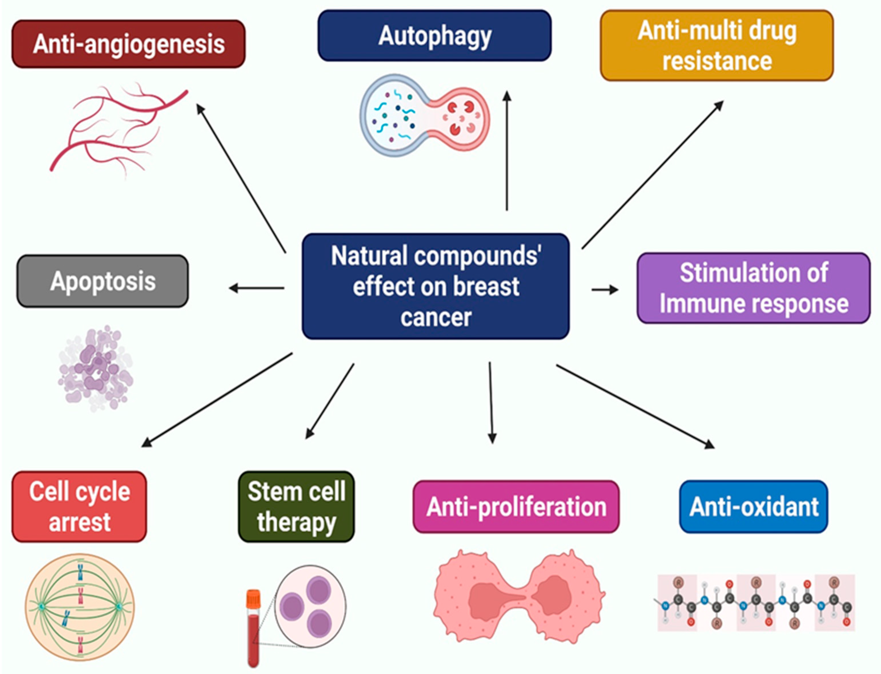 Molecules 27 02165 g002
