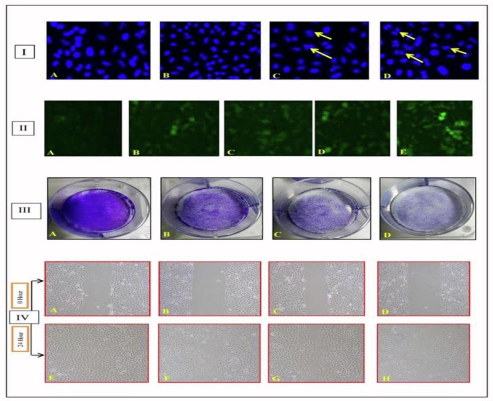 Molecules 27 02185 g002