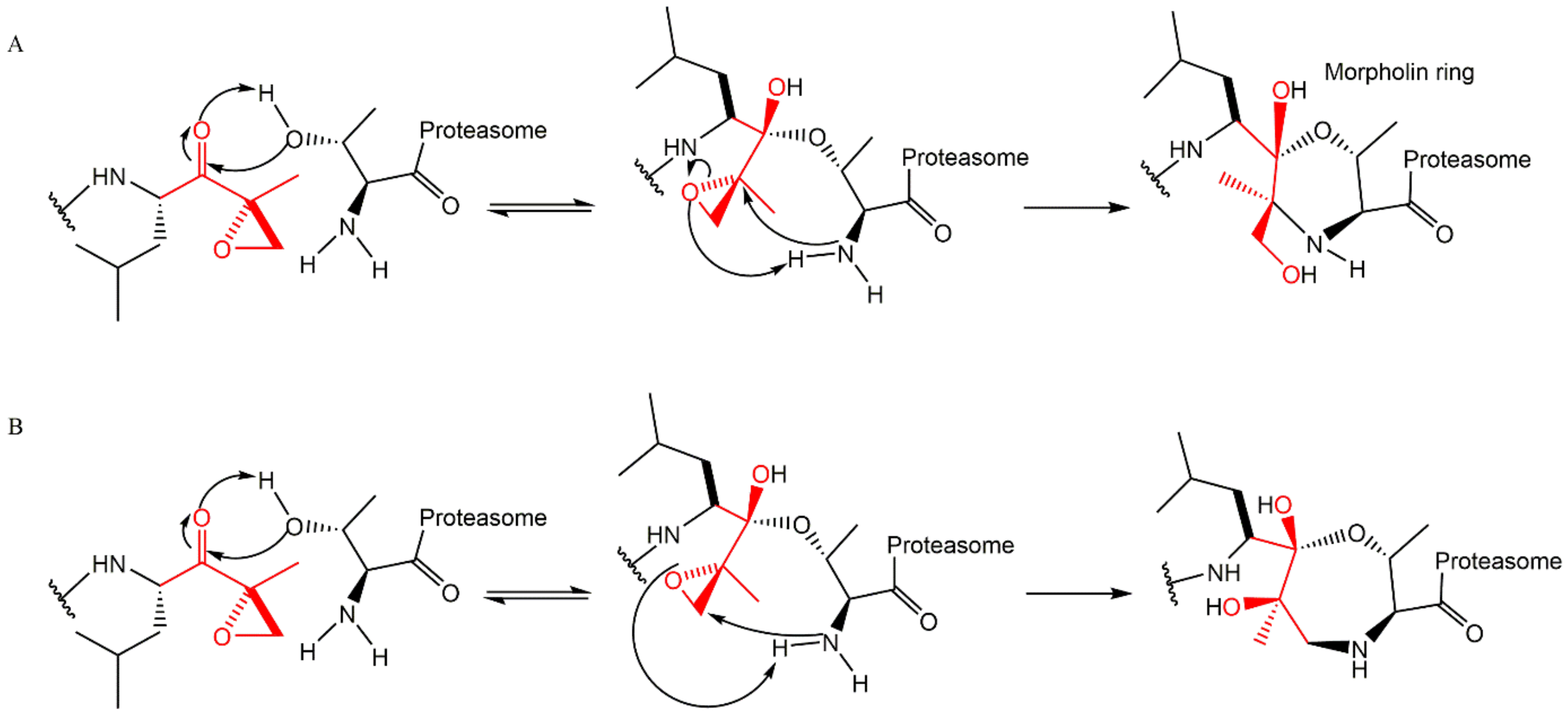 Molecules 27 02201 g011