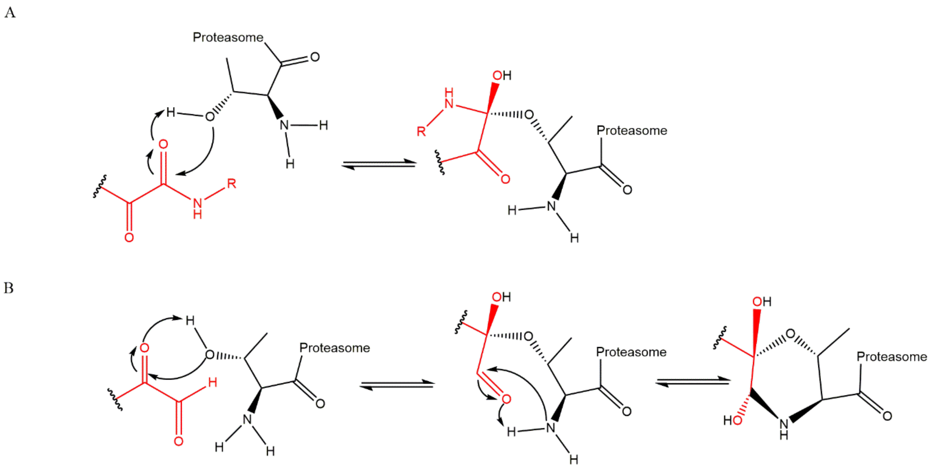 Molecules 27 02201 g013