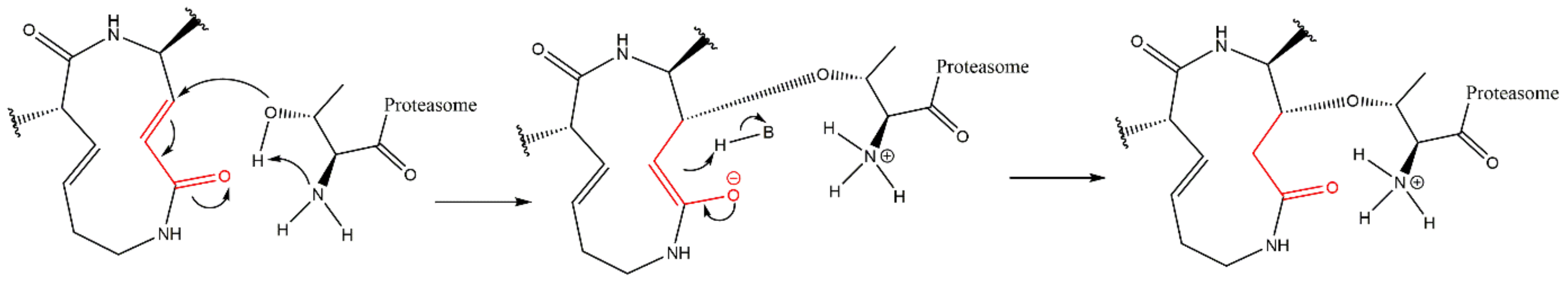 Molecules 27 02201 g019