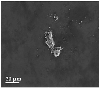 Molecules 27 02202 i004