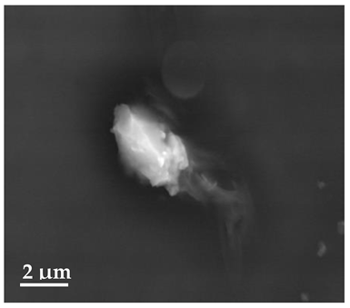 Molecules 27 02202 i006