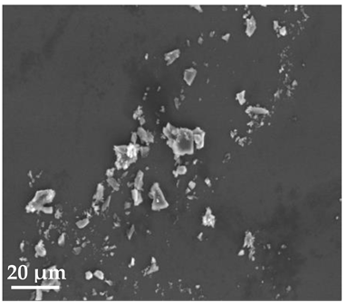 Molecules 27 02202 i007