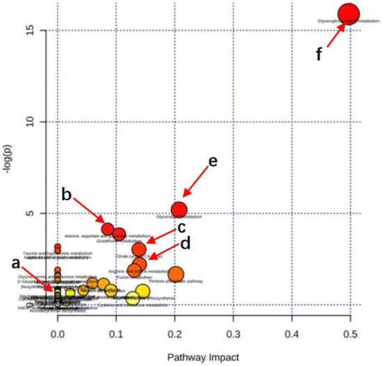 PDF] Hepatoprotective Effect of Crotalaria longipes Wight & Arn , Ethanol  Extract in CCl 4 Induced Hepatotoxicity in Wistar Rats