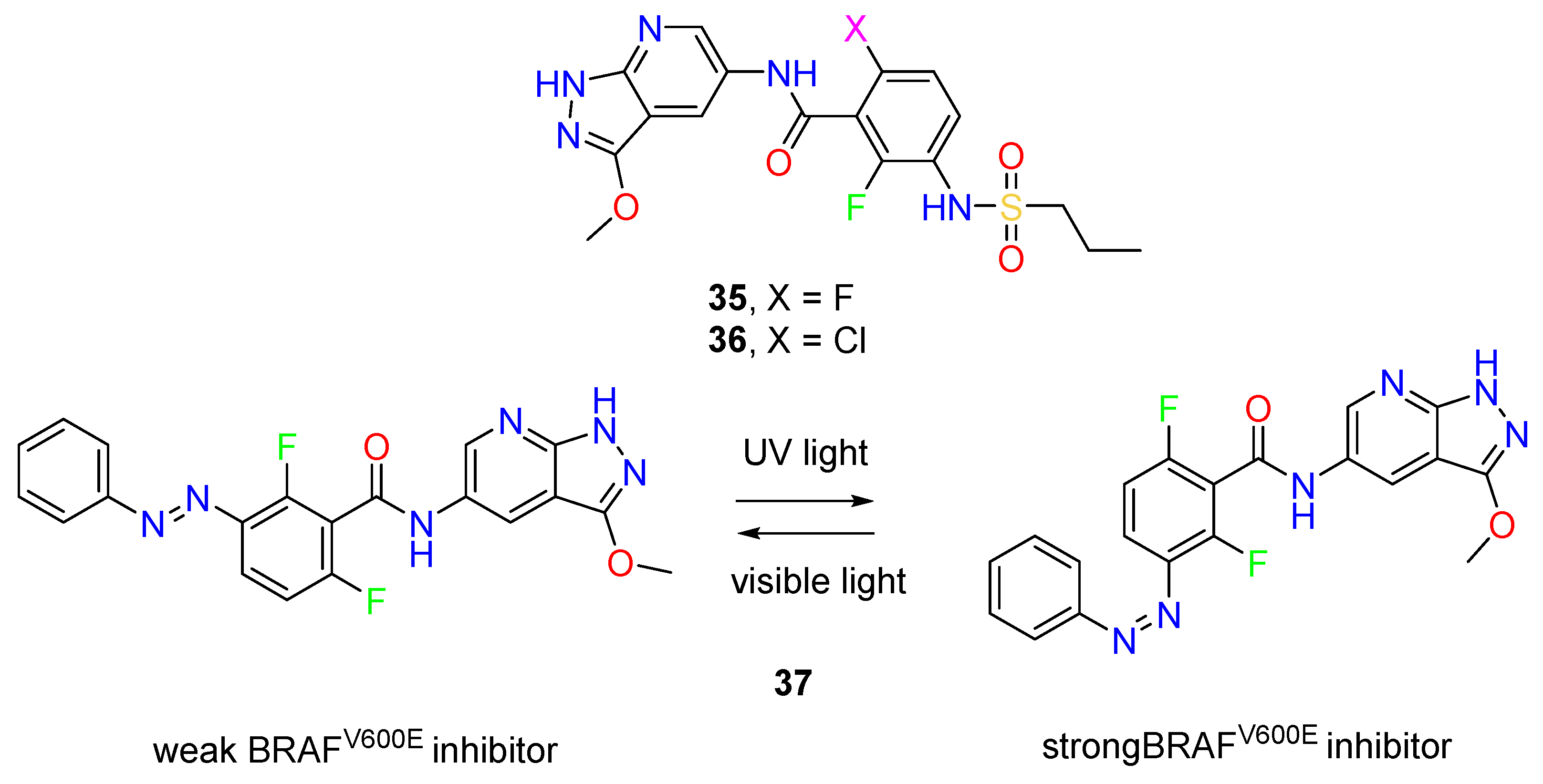 Molecules 27 02237 g010