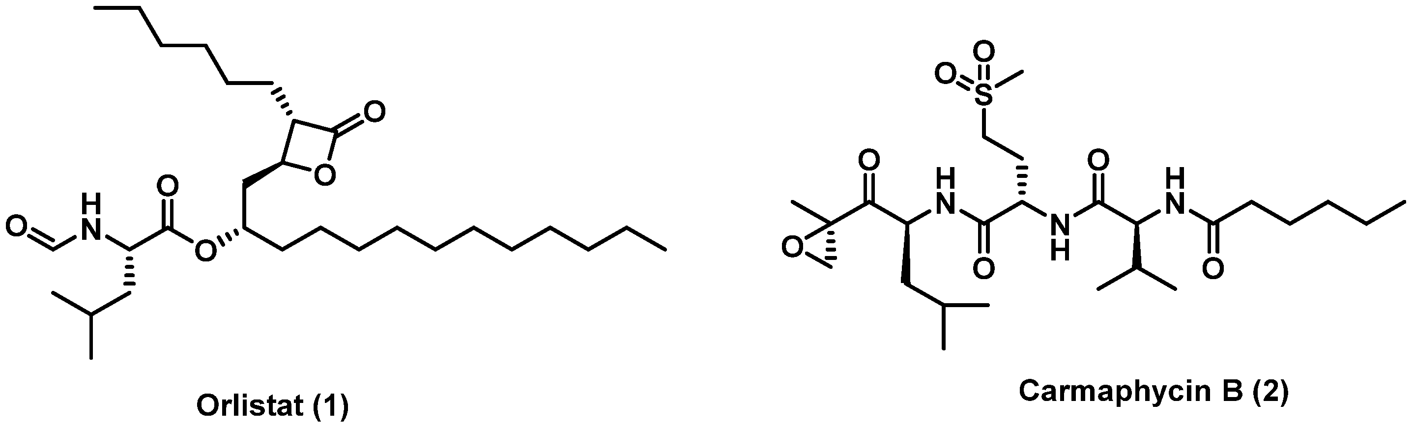 Molecules 27 02261 g001