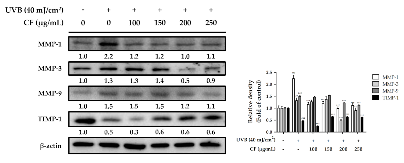 Molecules 27 02332 g006
