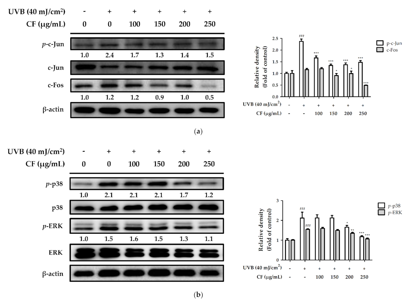 Molecules 27 02332 g007