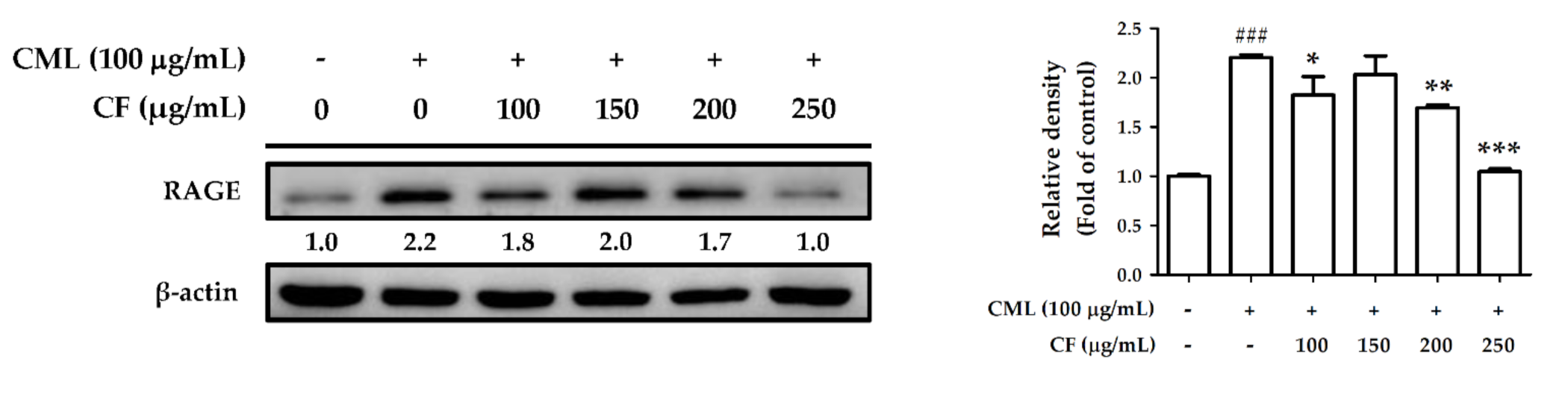 Molecules 27 02332 g010