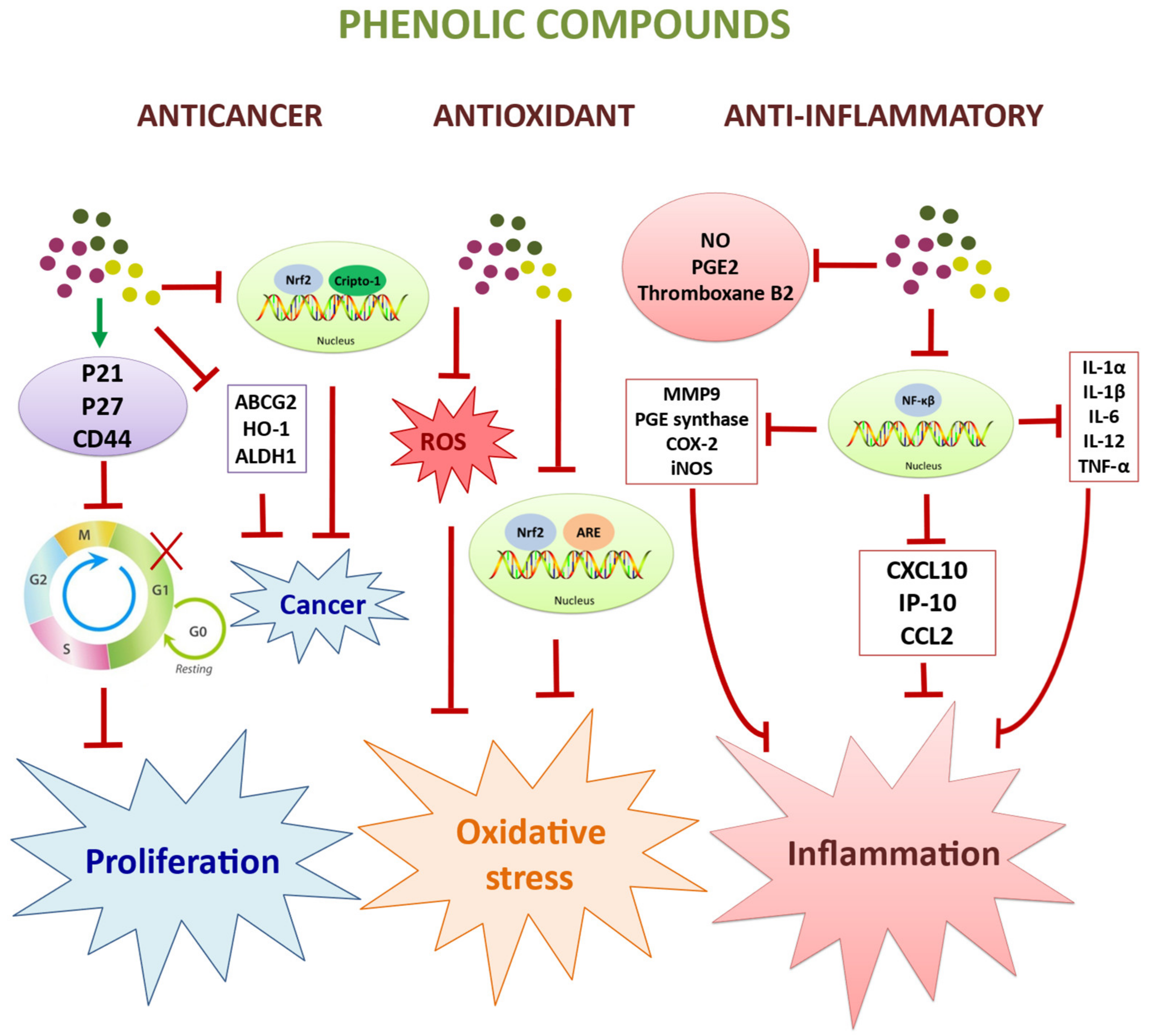 Molecules 27 02341 g003 Molecules 27 02341 g003