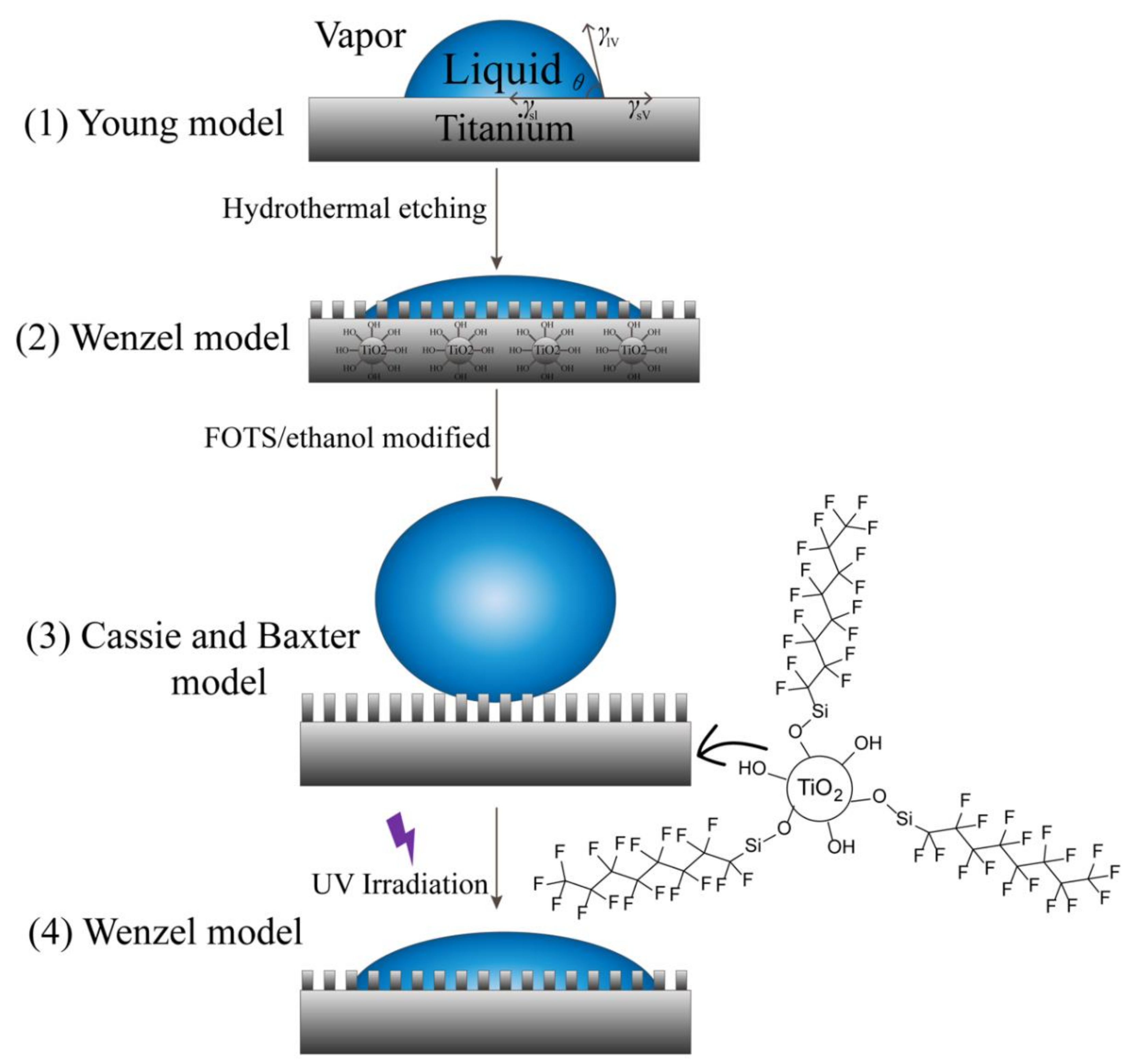 Hydrophilic Titanium Coatings  Hydrophilic Treatments for Titanium