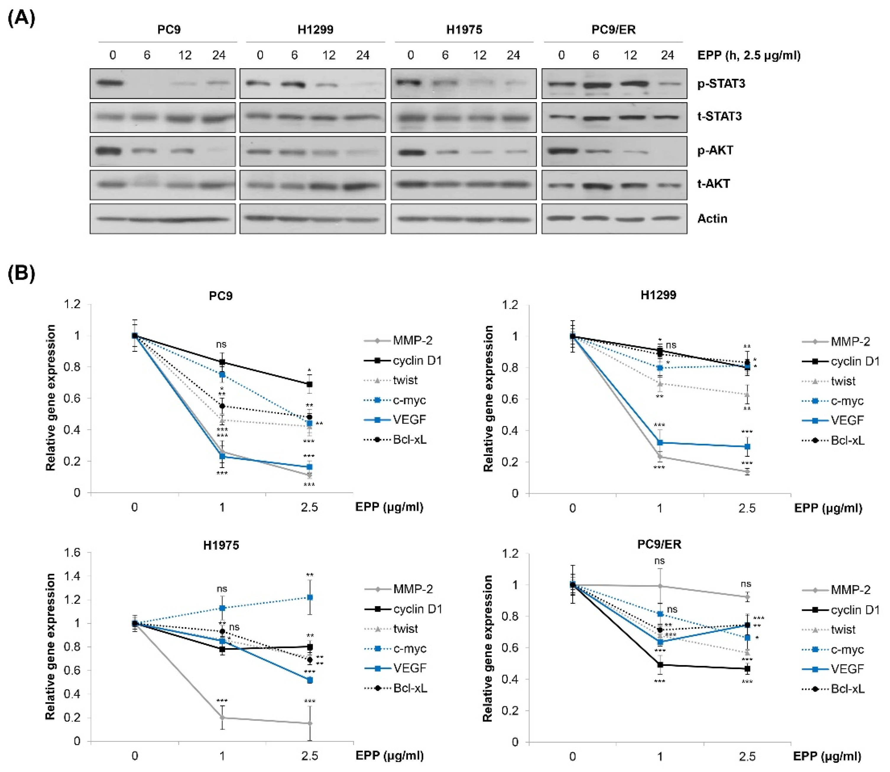 Molecules 27 02360 g004