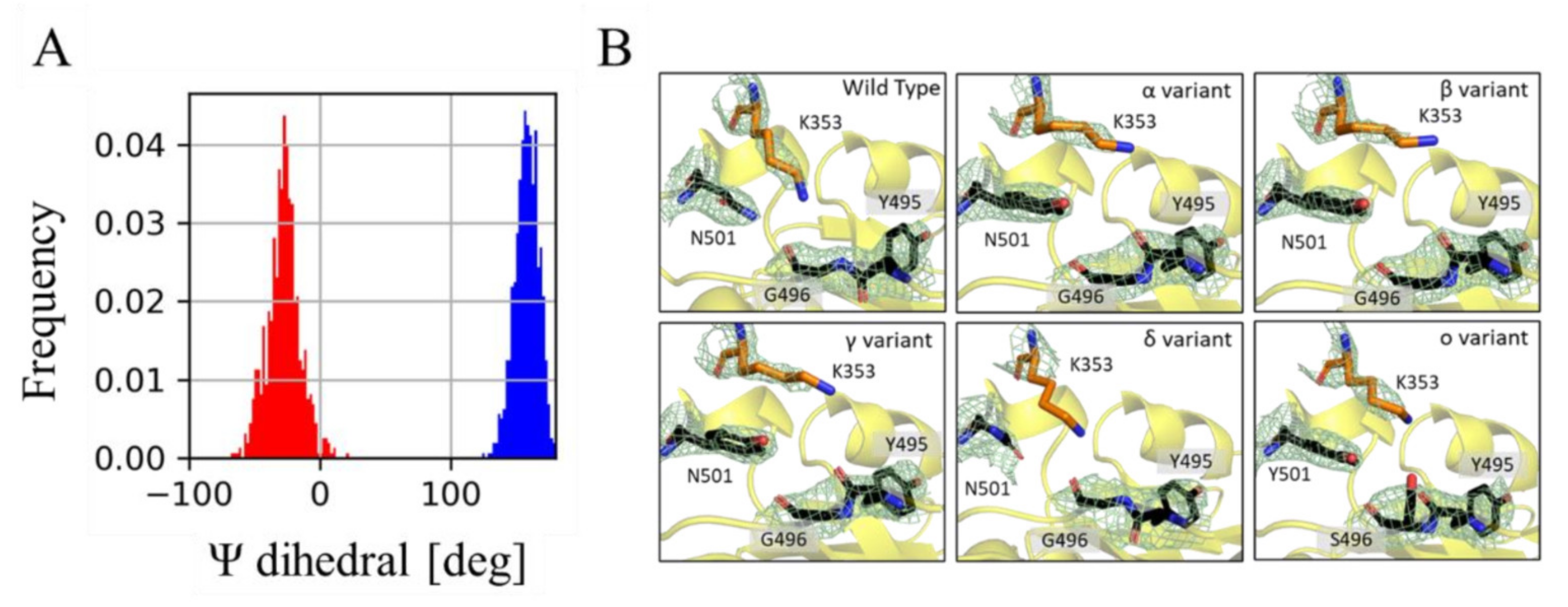 Molecules 27 02370 g005