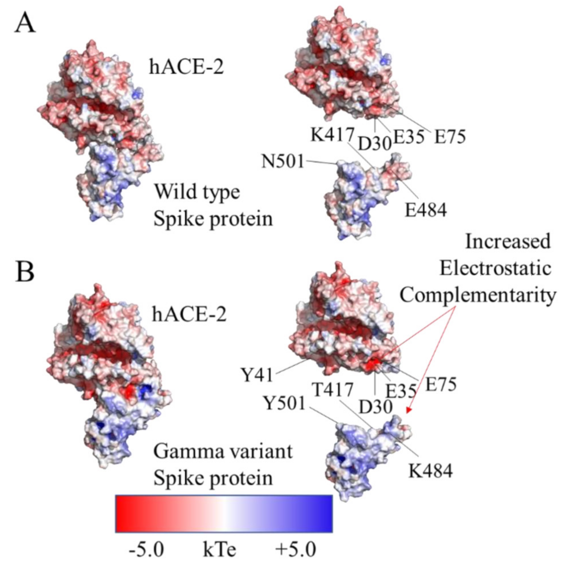 Molecules 27 02370 g006