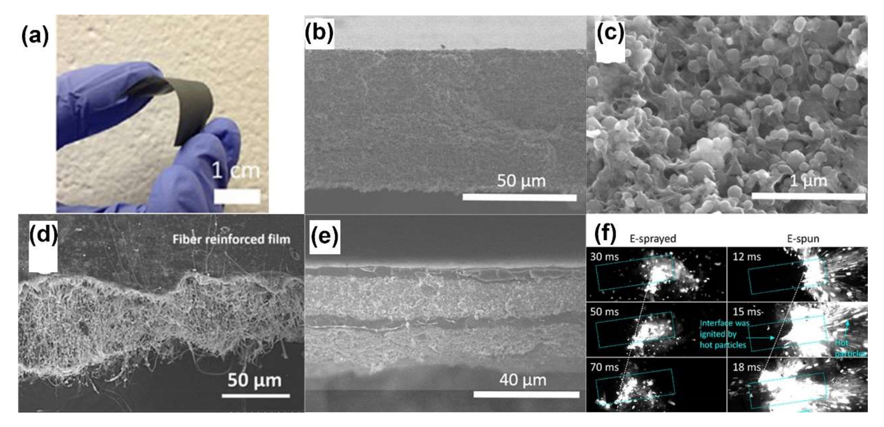 Molecules 27 02374 g005