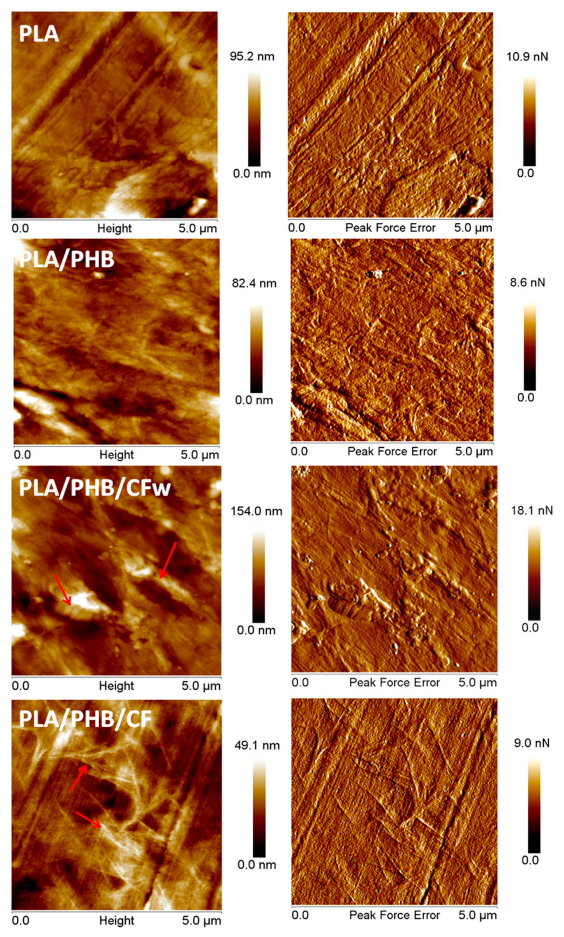 Molecules 27 02390 g008