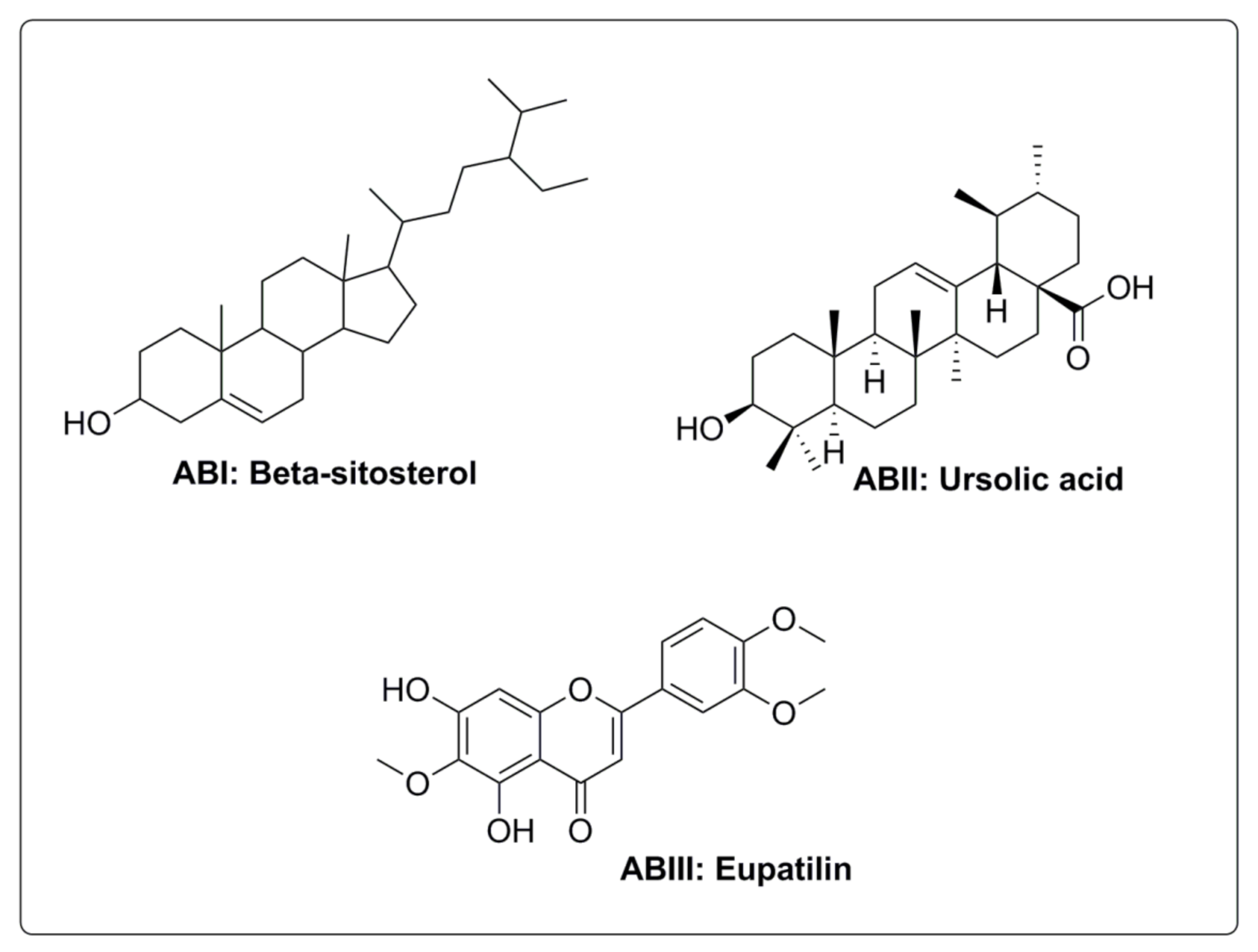 Molecules 27 02399 g004