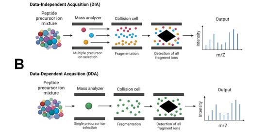 tandem mass spectrometry experiment