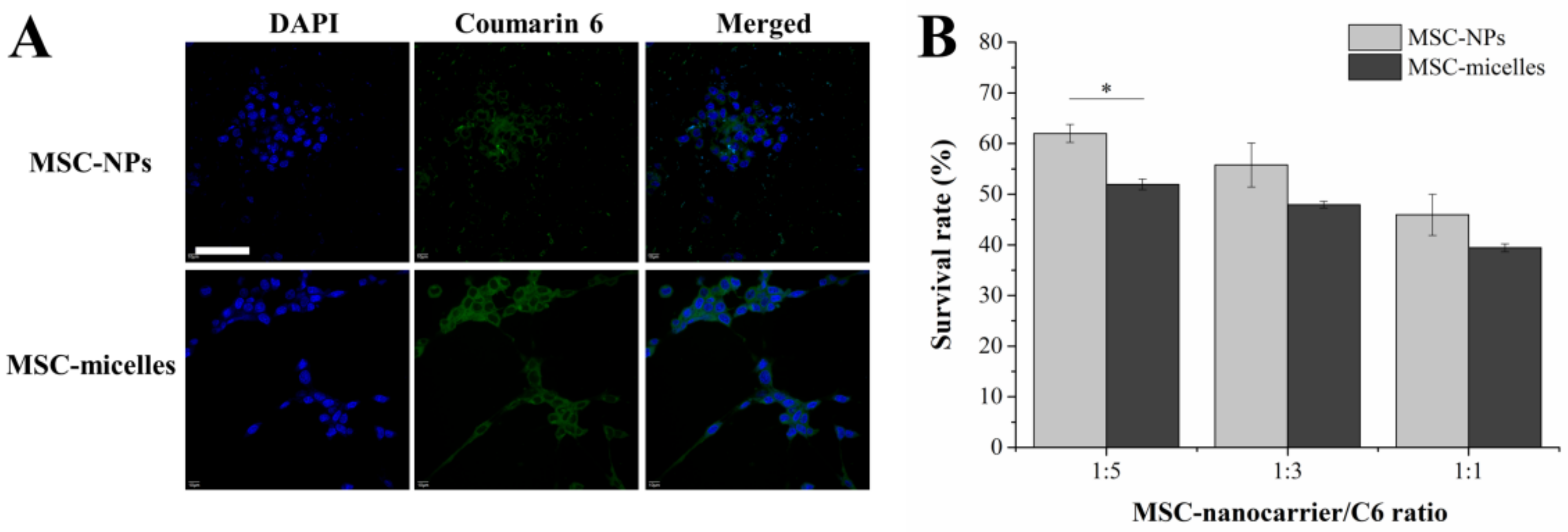 Molecules 27 02419 g005 Molecules 27 02419 g005