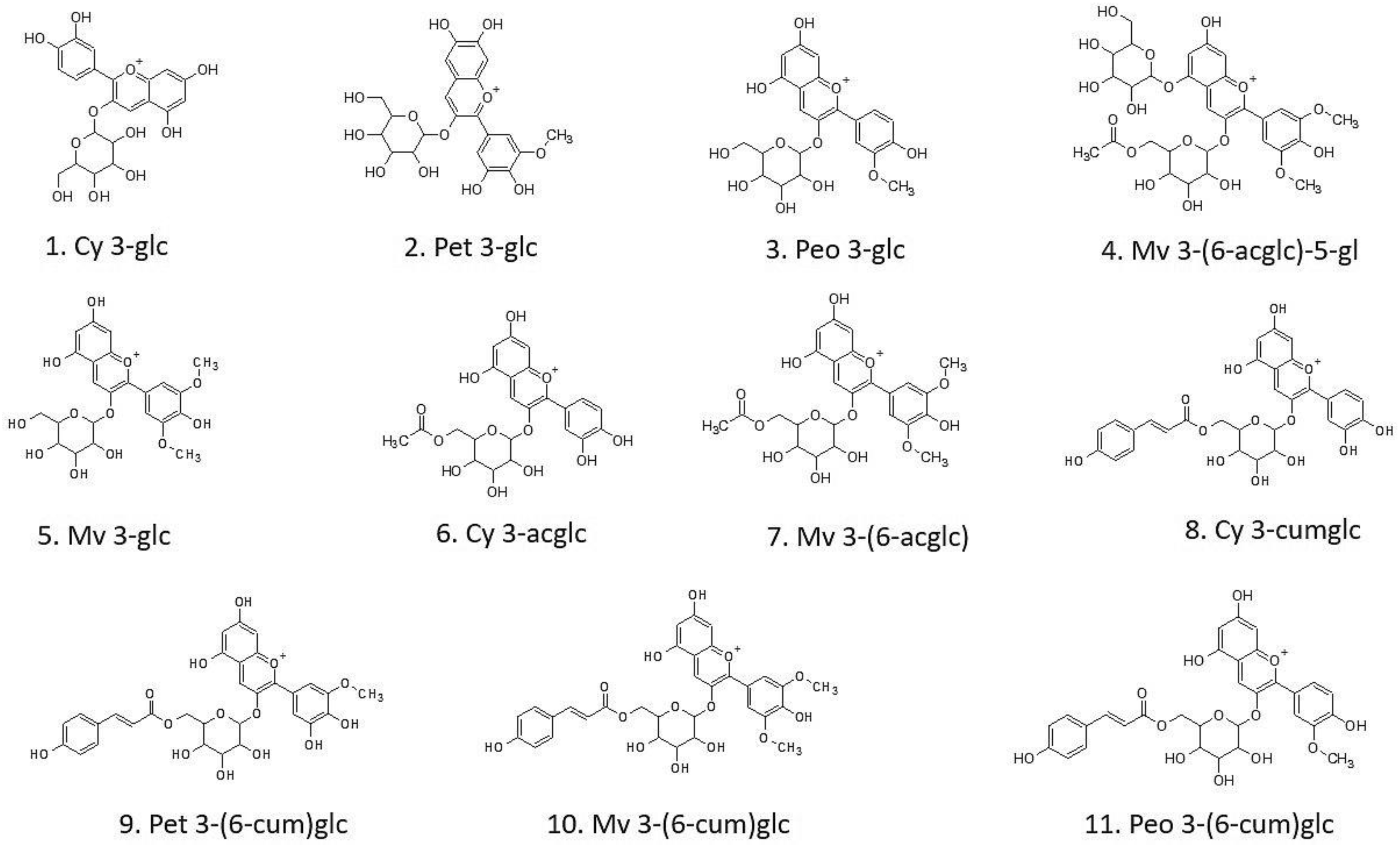 Molecules 27 02444 g004