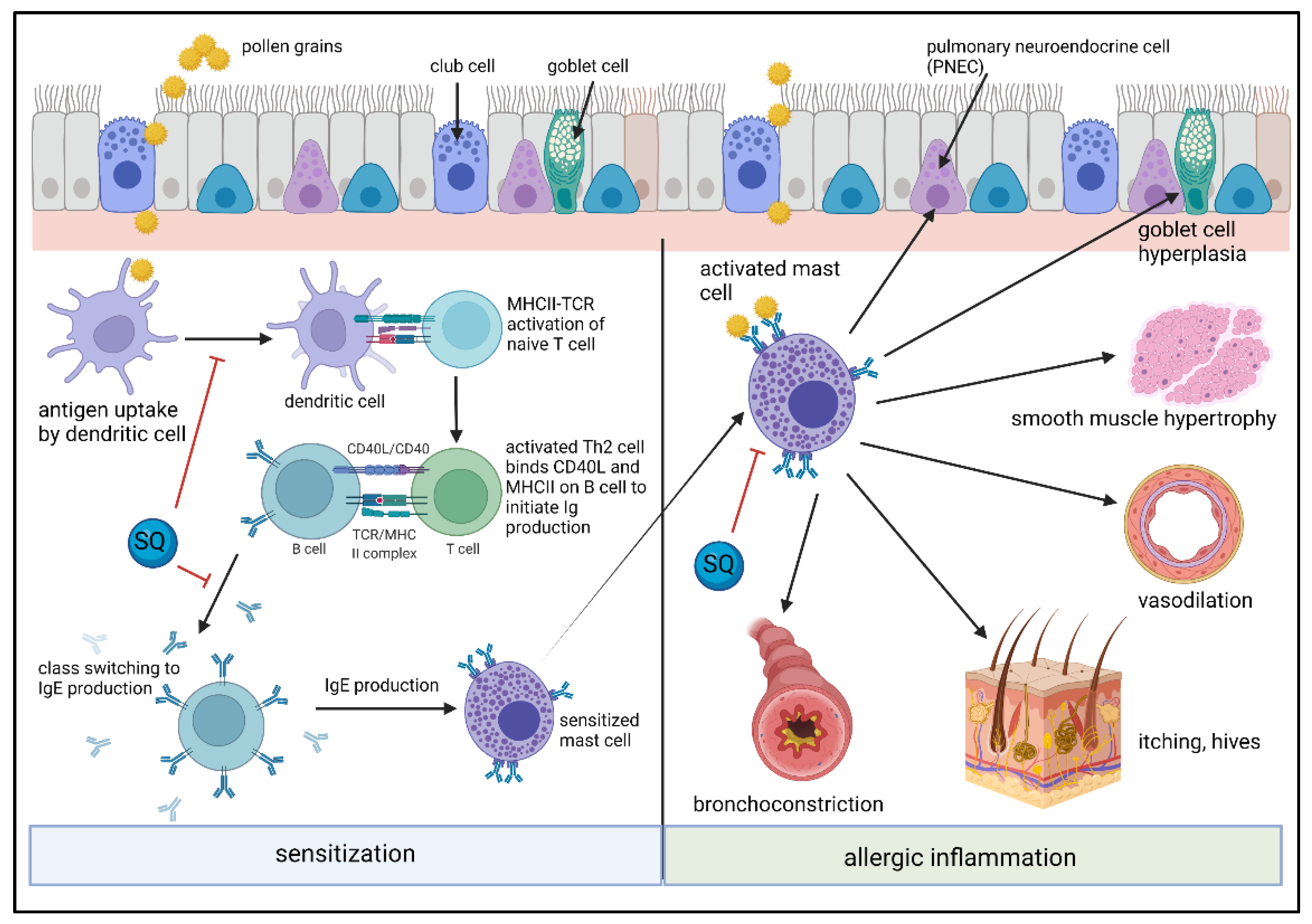 Molecules 27 02450 g006