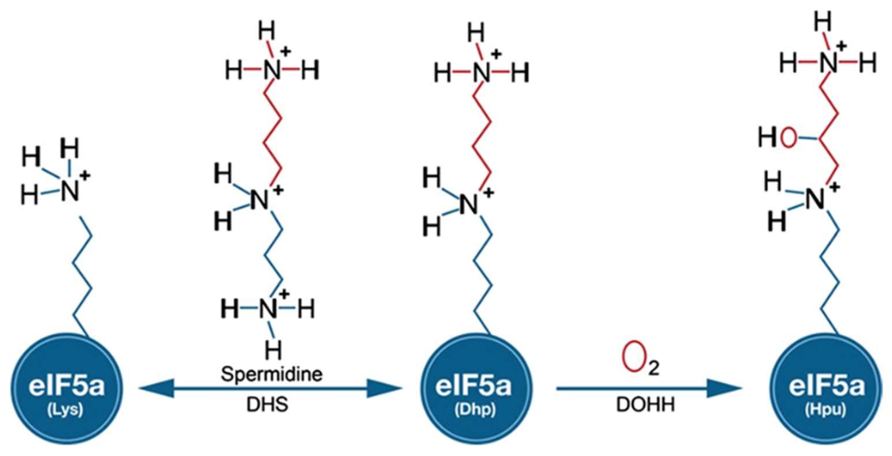 Molecules 27 02463 g001 Molecules 27 02463 g001