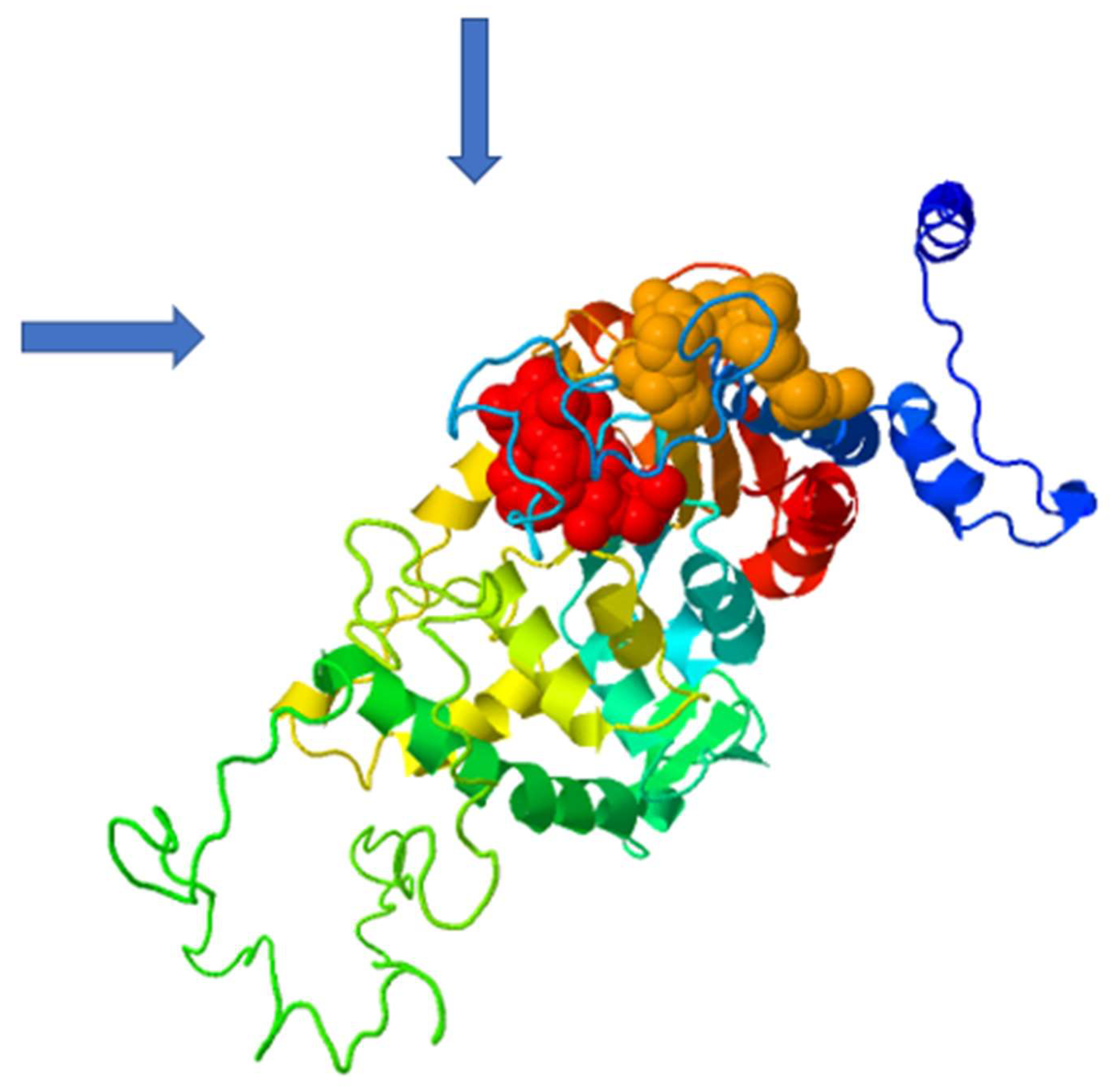Molecules 27 02463 g007 Molecules 27 02463 g007