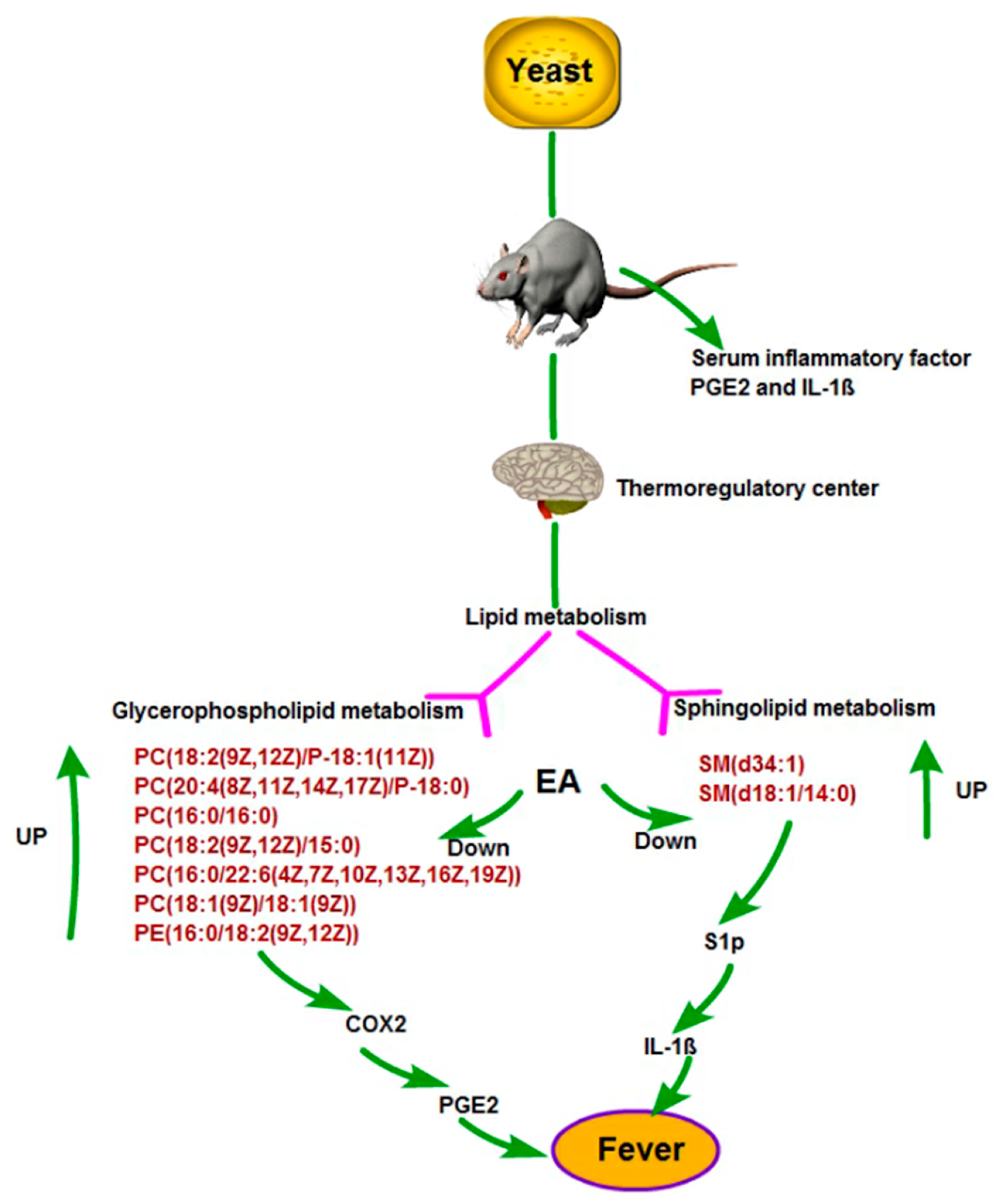 Molecules 27 02465 g007