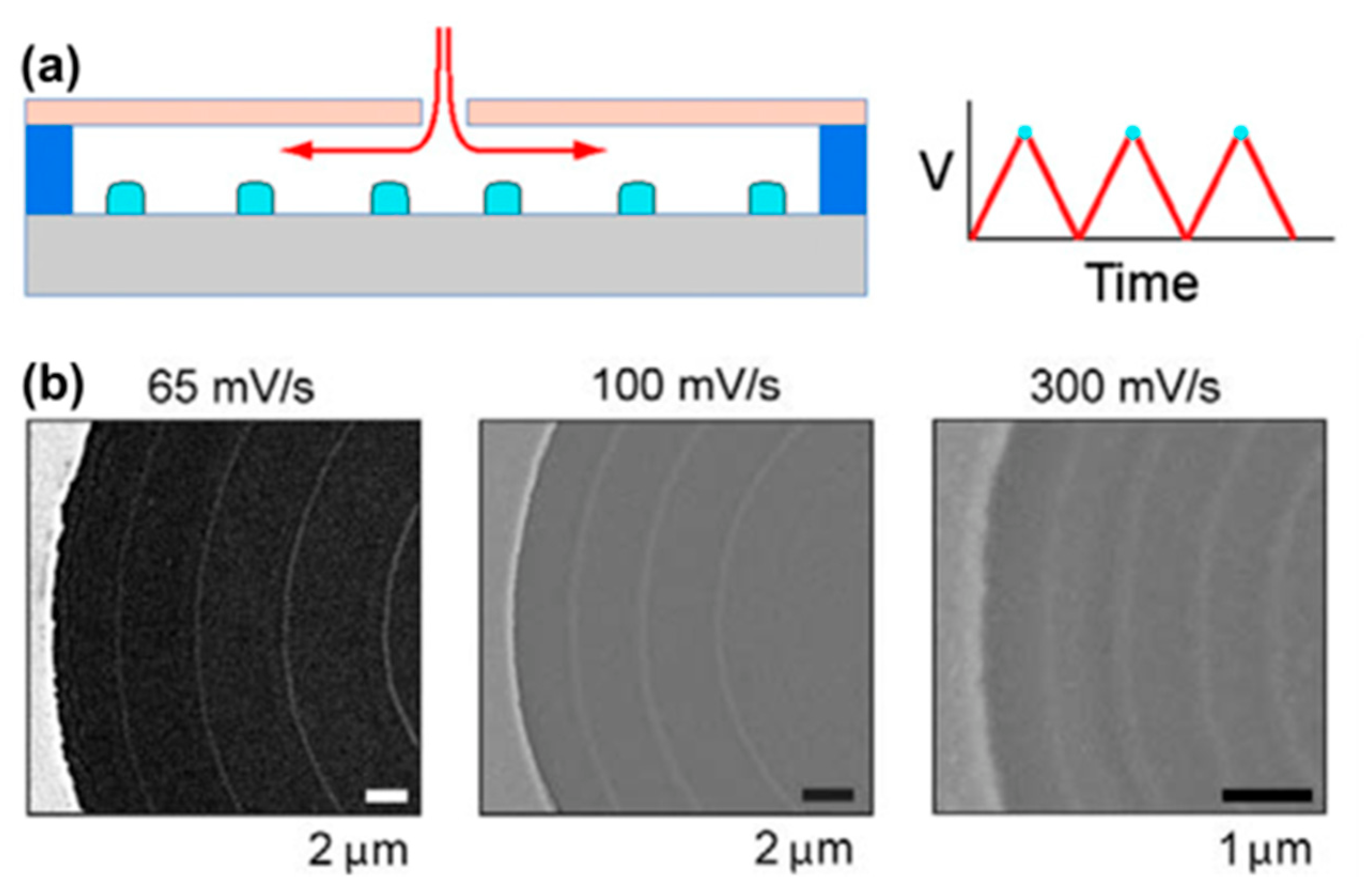Molecules 27 02485 g009