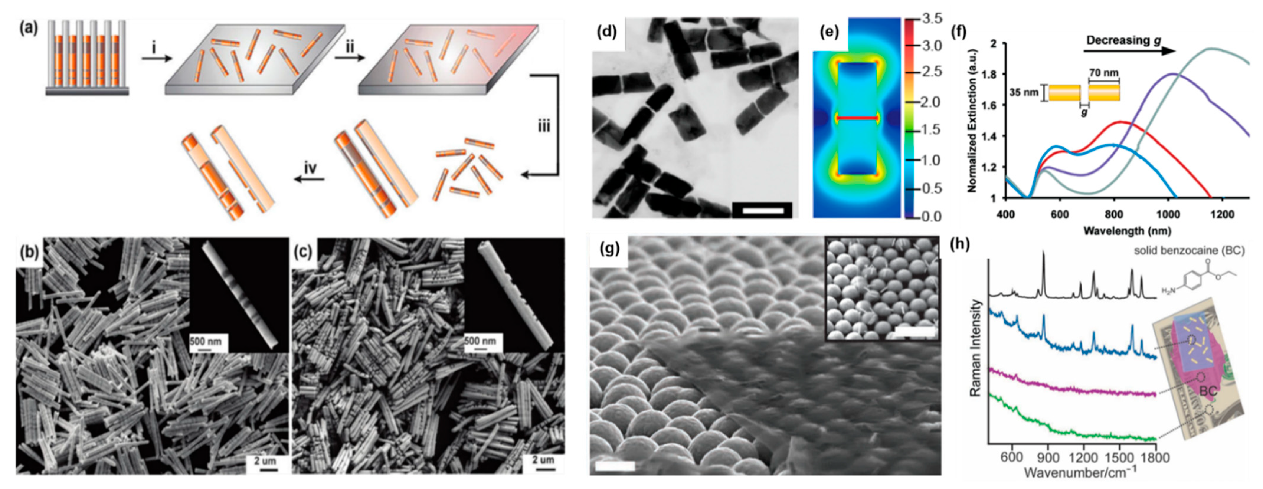Molecules 27 02485 g011