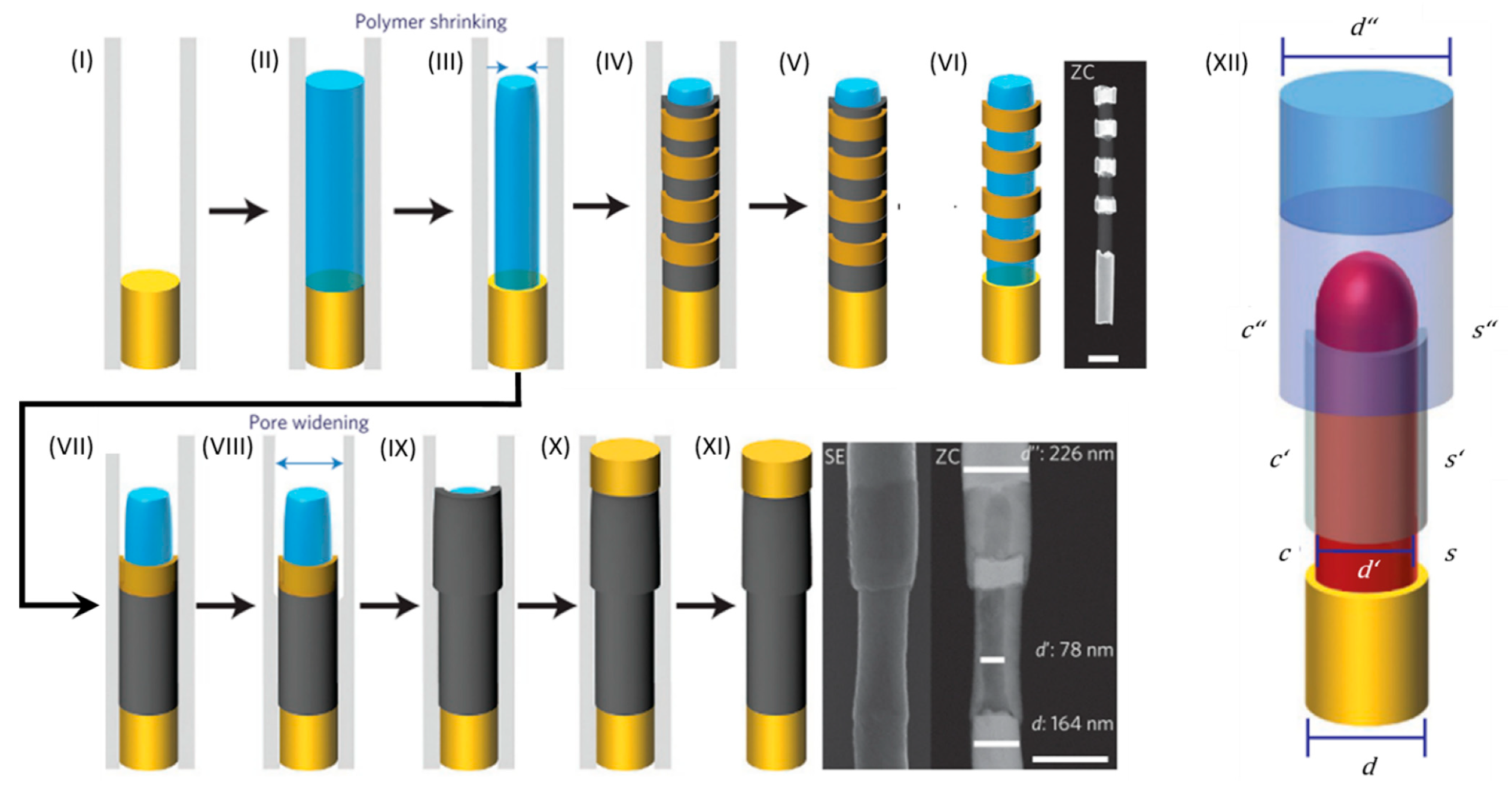 Molecules 27 02485 g012
