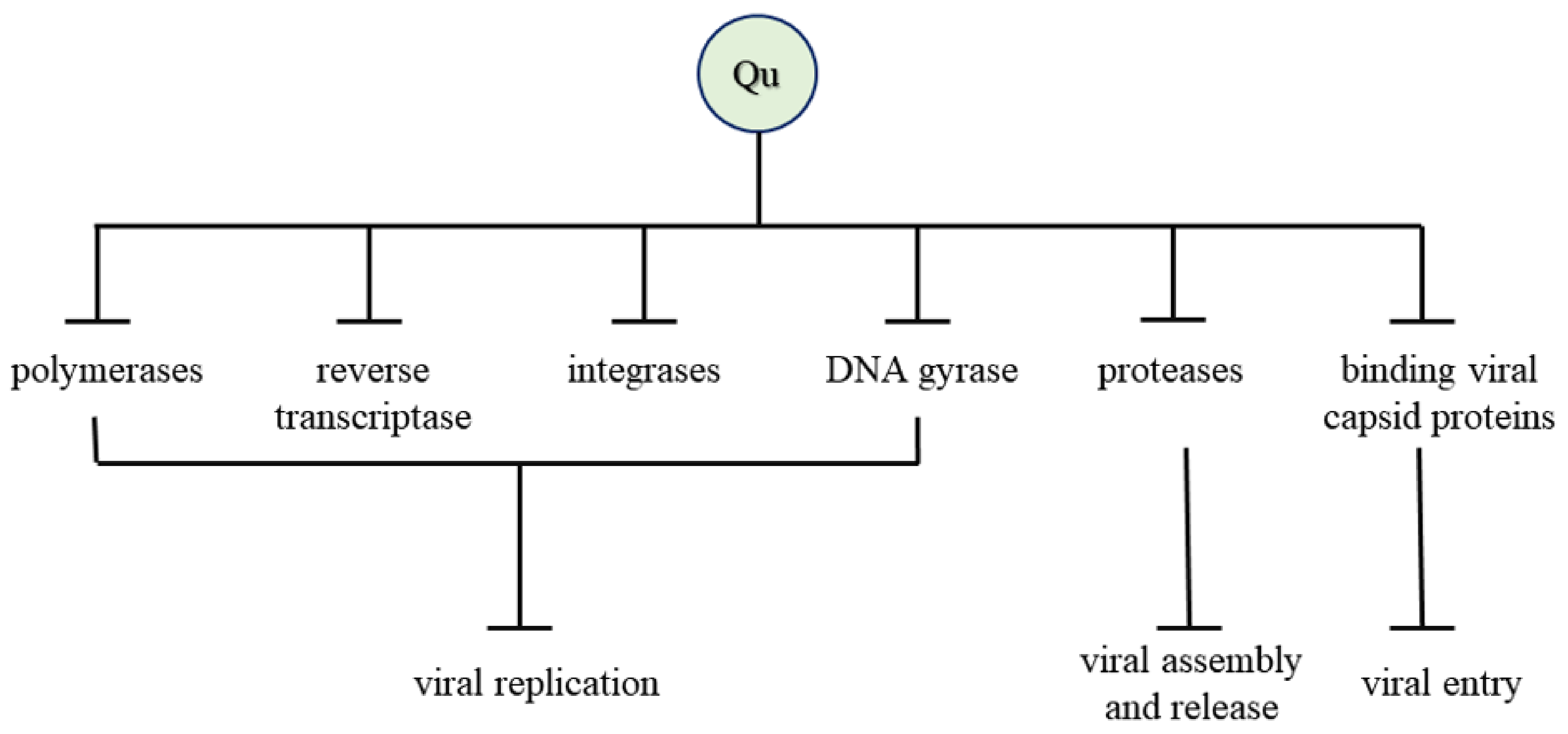 Molecules 27 02494 g004 Molecules 27 02494 g004