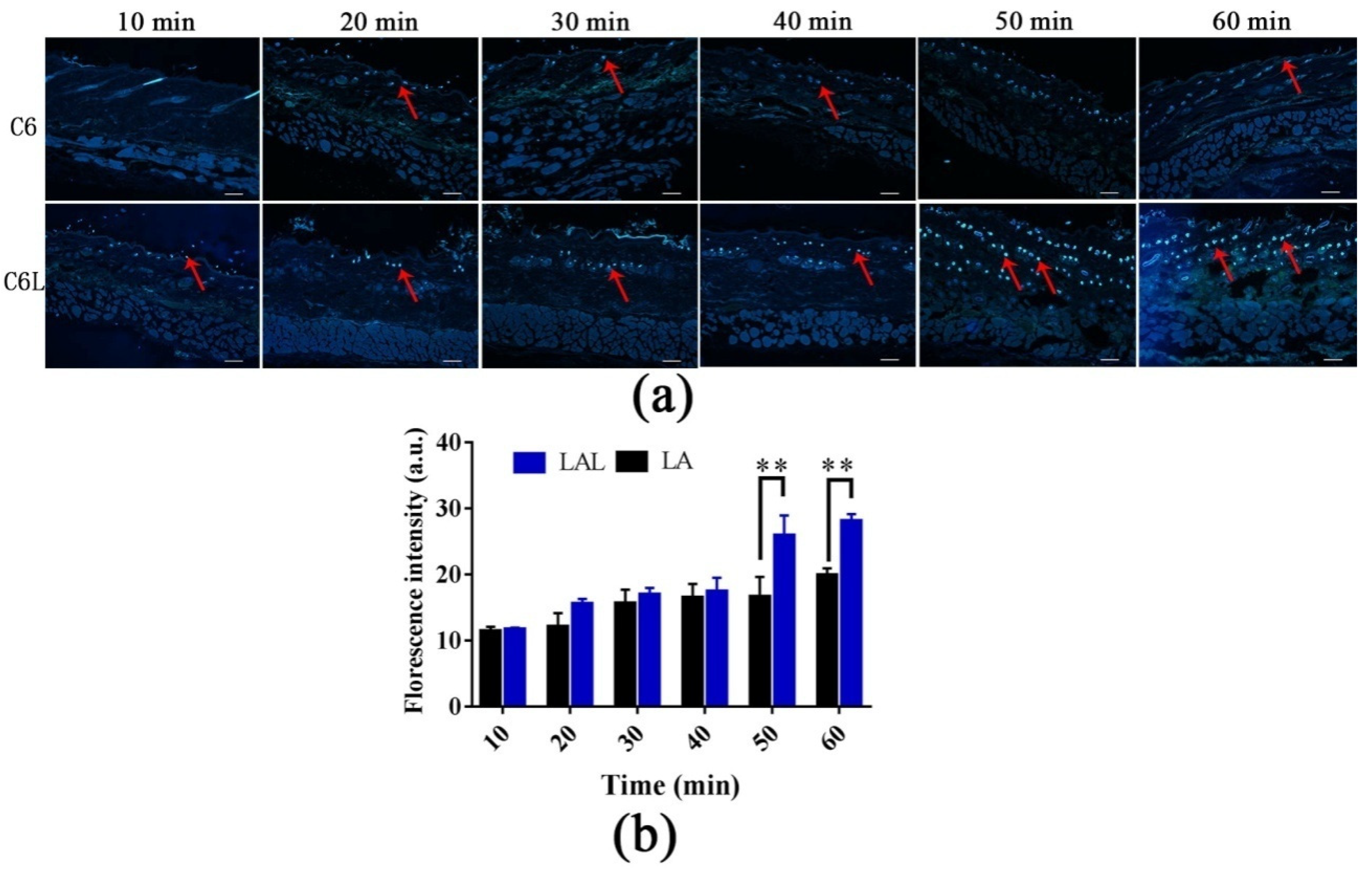 Molecules 27 02504 g004