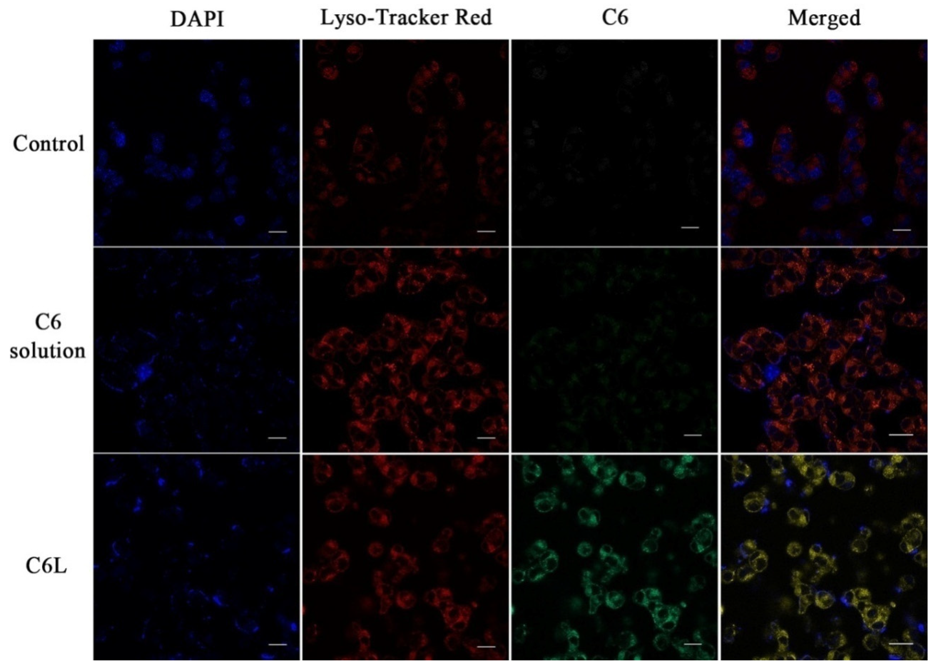 Molecules 27 02504 g006