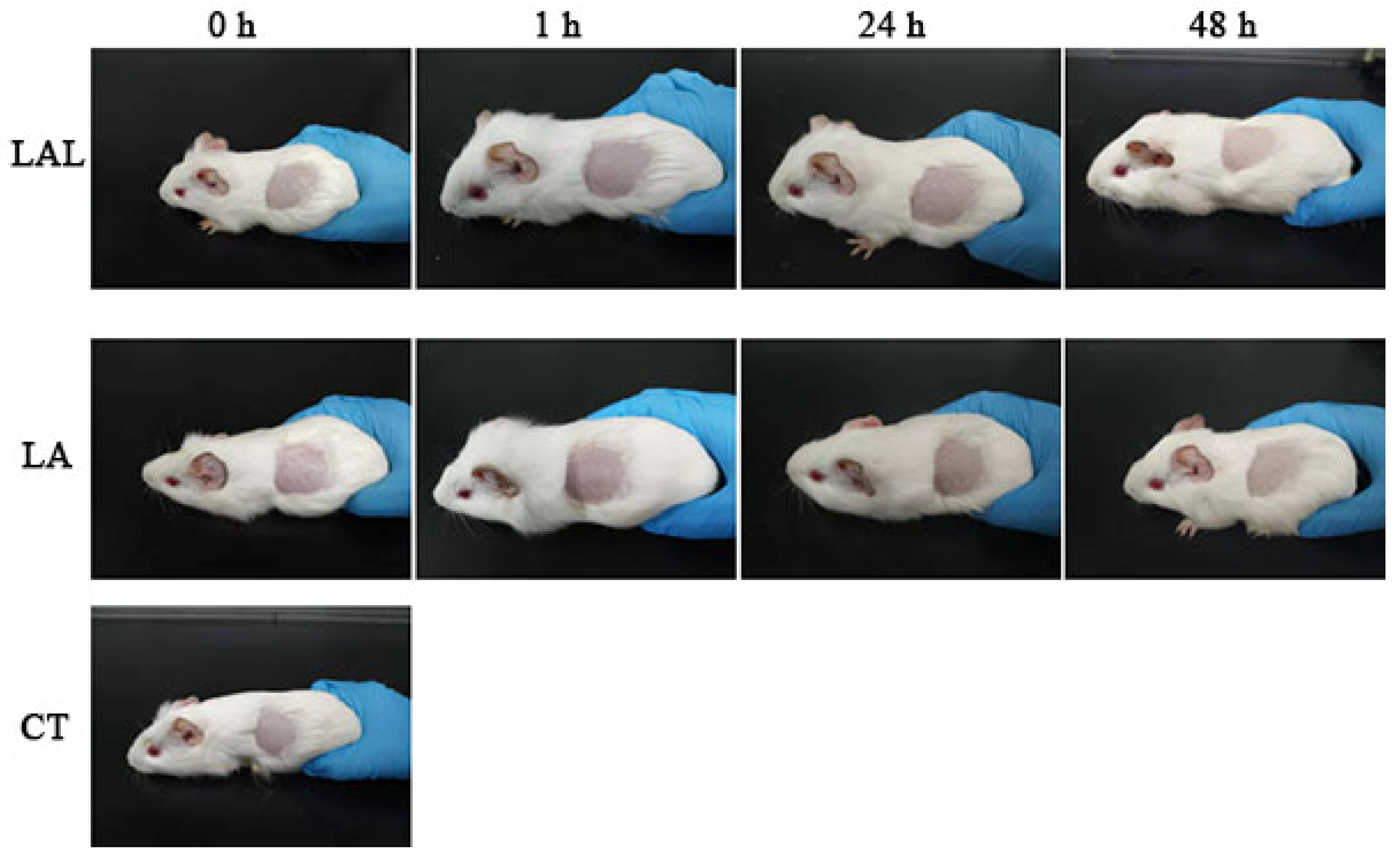 Molecules 27 02504 g007