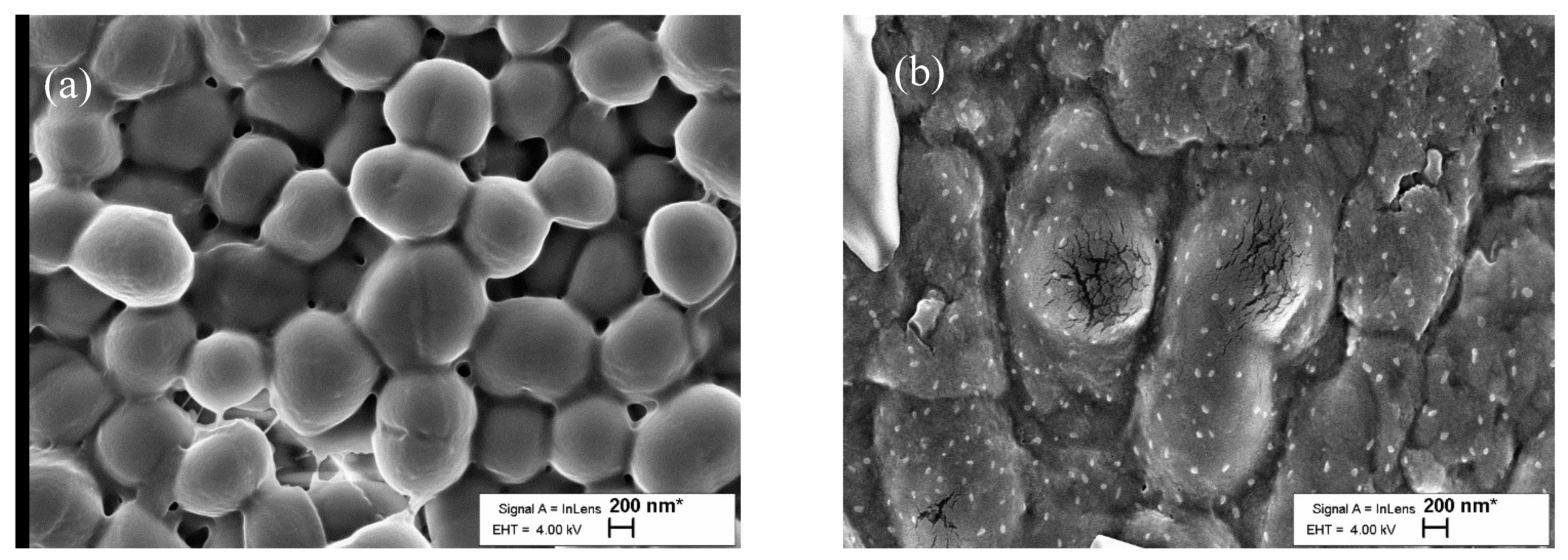 Molecules 27 02510 g009 Molecules 27 02510 g009