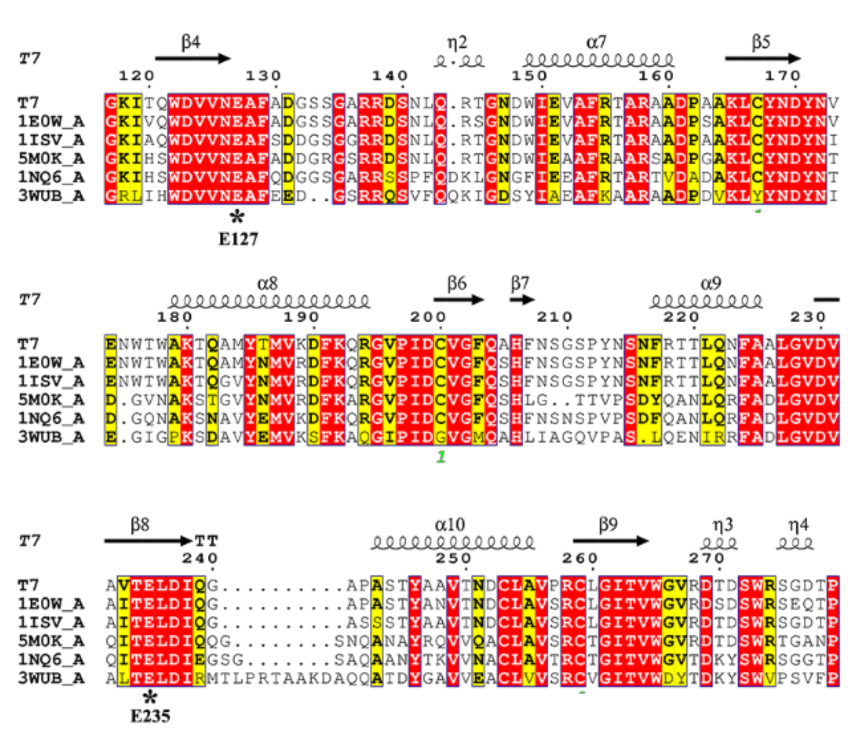 Phylogenetic, functional and structural characterization of a GH10