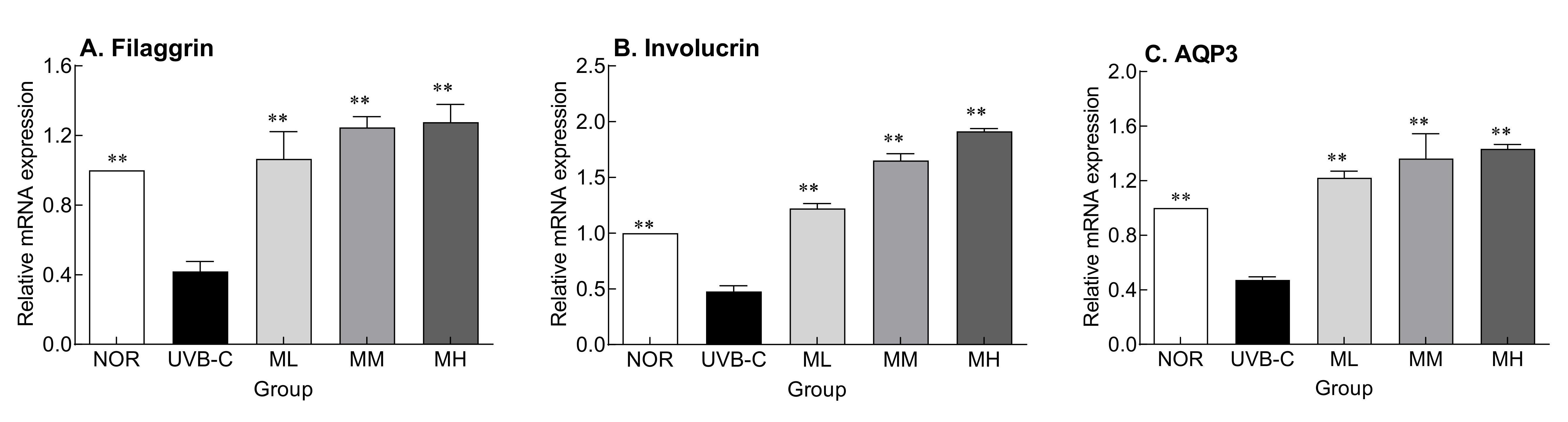 Molecules 27 02545 g003