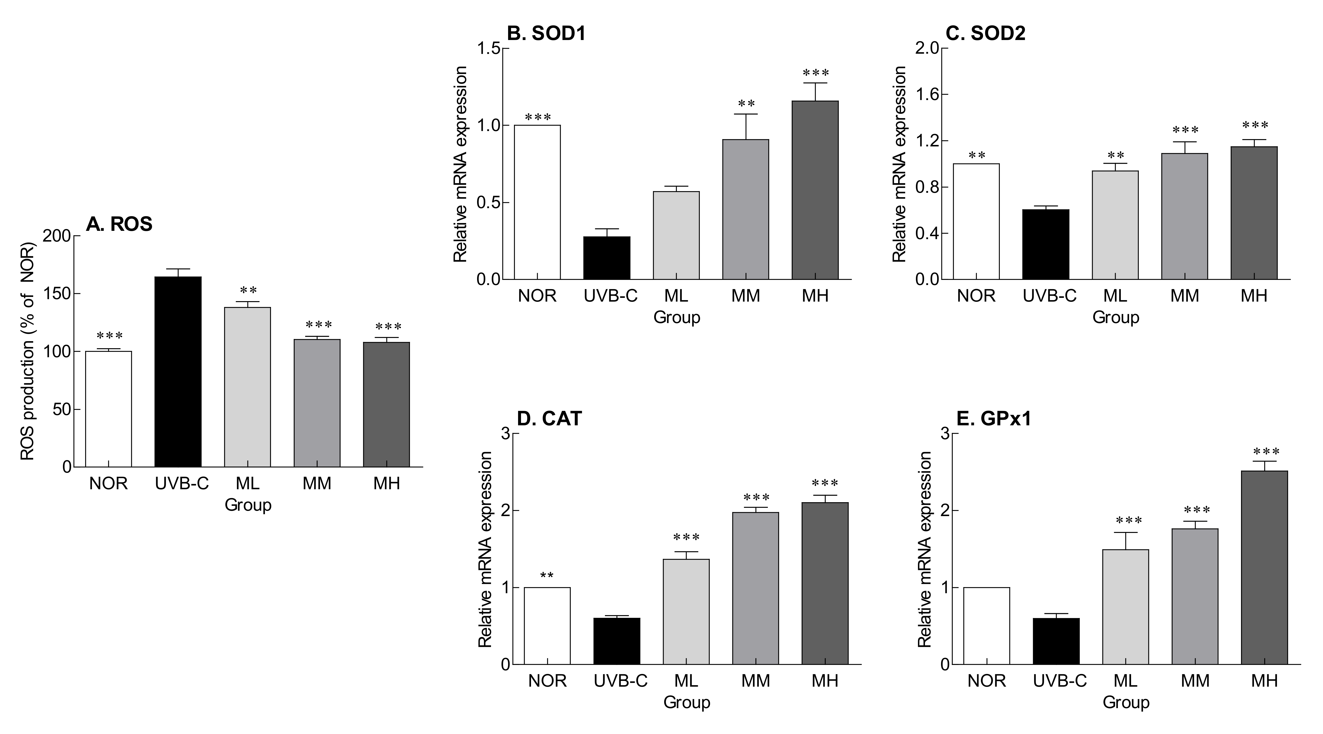 Molecules 27 02545 g004