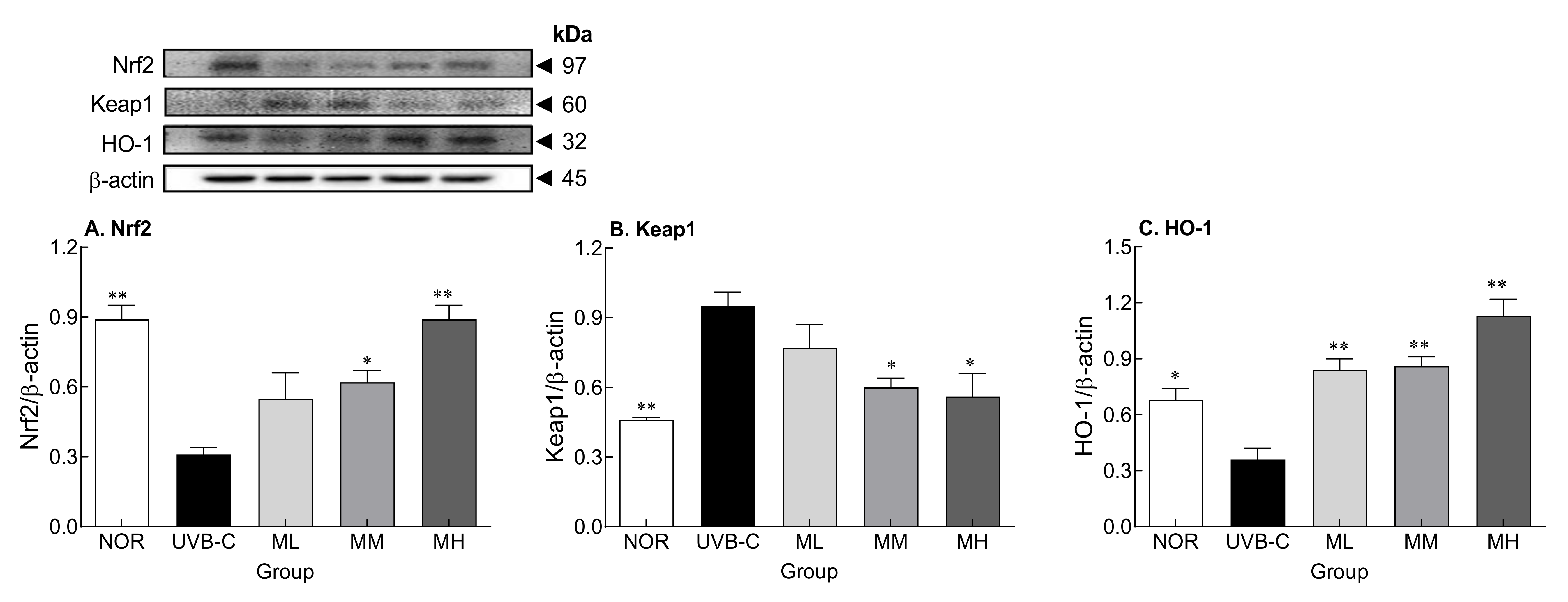Molecules 27 02545 g005