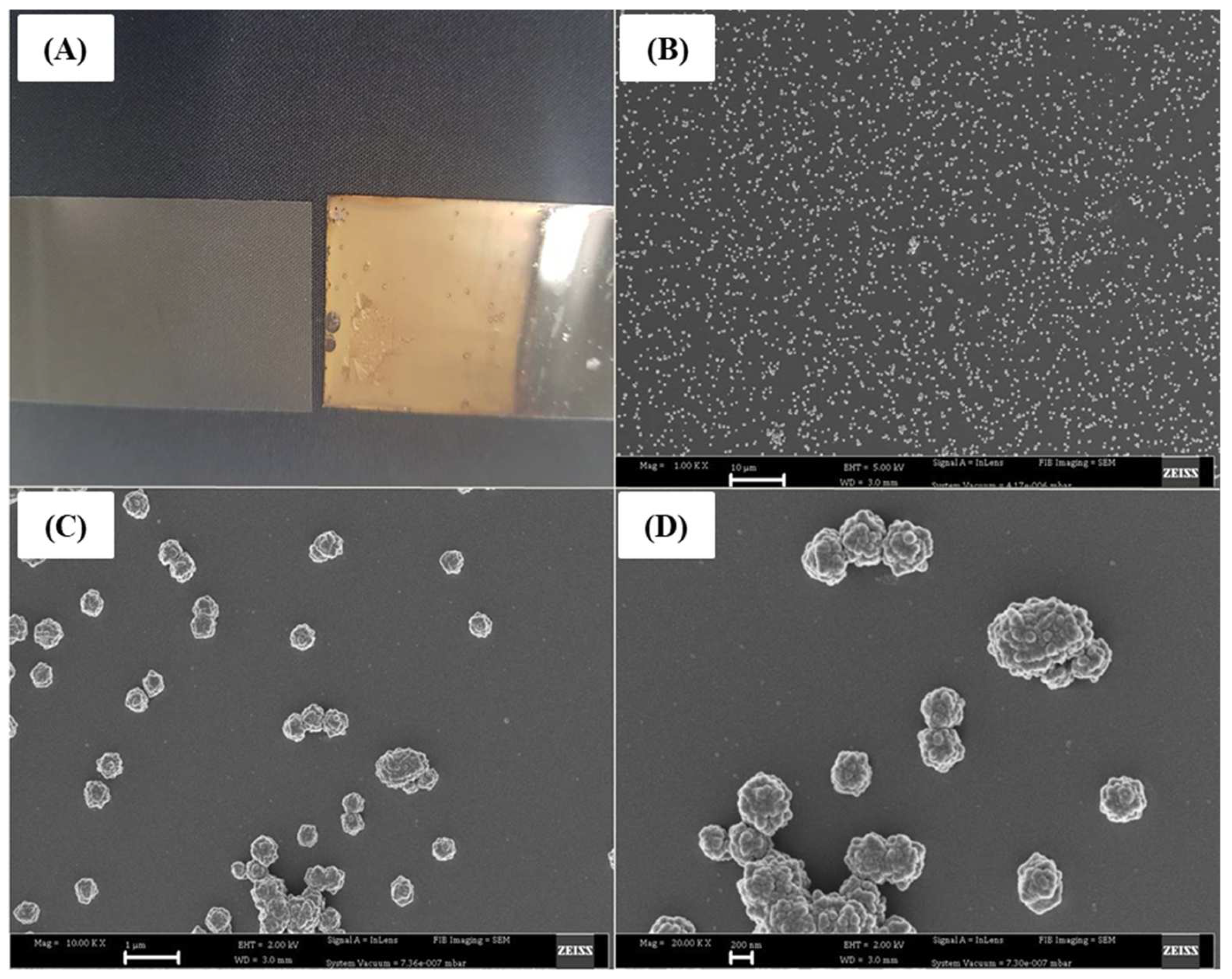 Molecules 27 02554 g001
