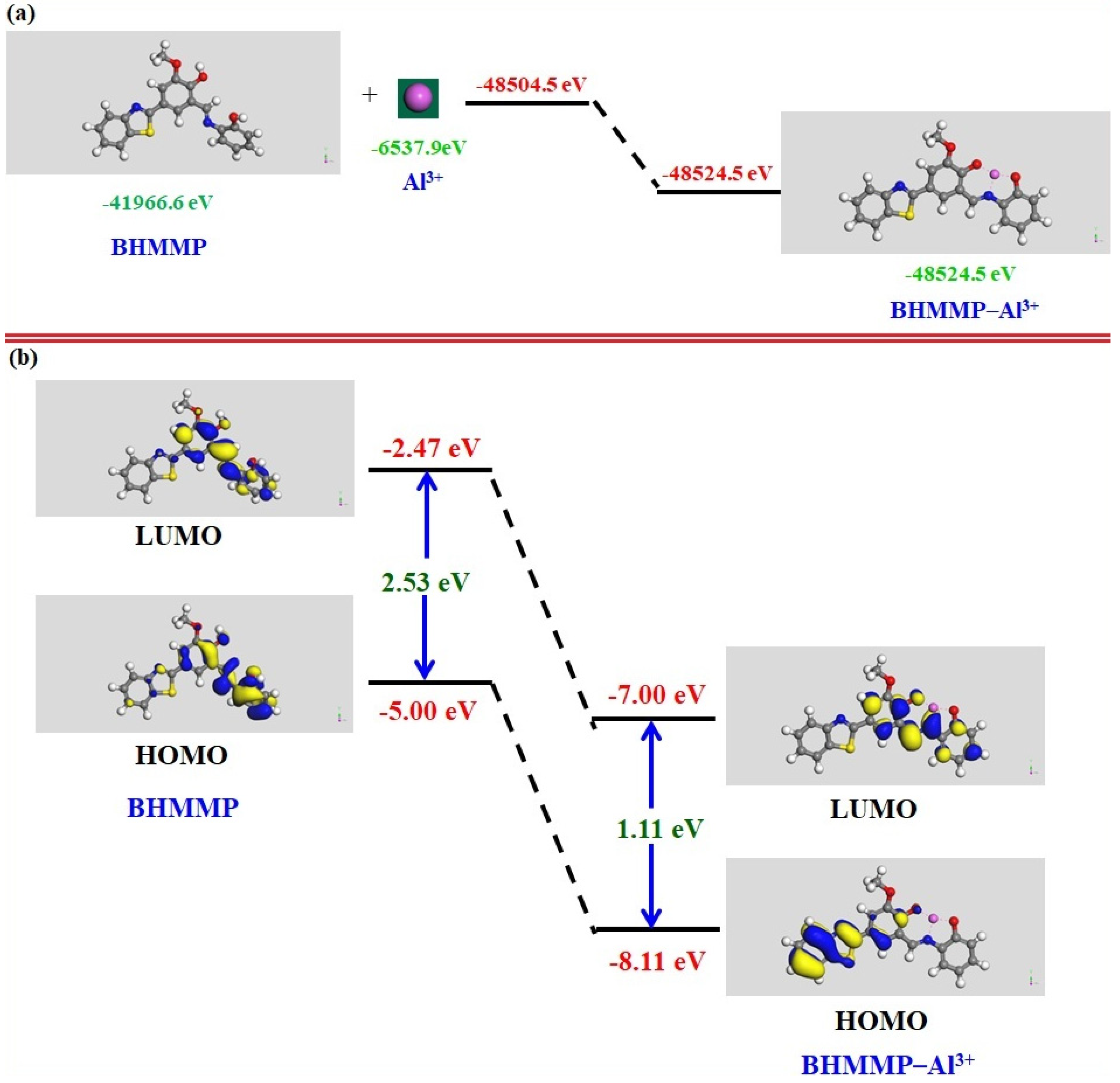 Molecules 27 02569 g008