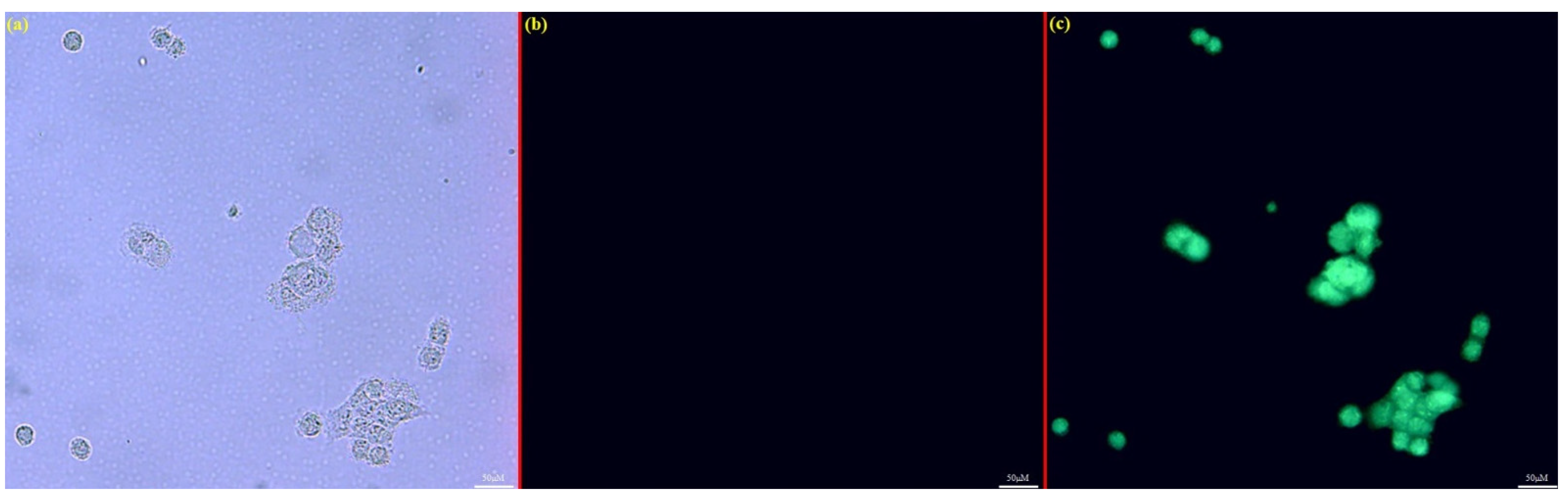 Molecules 27 02569 g011