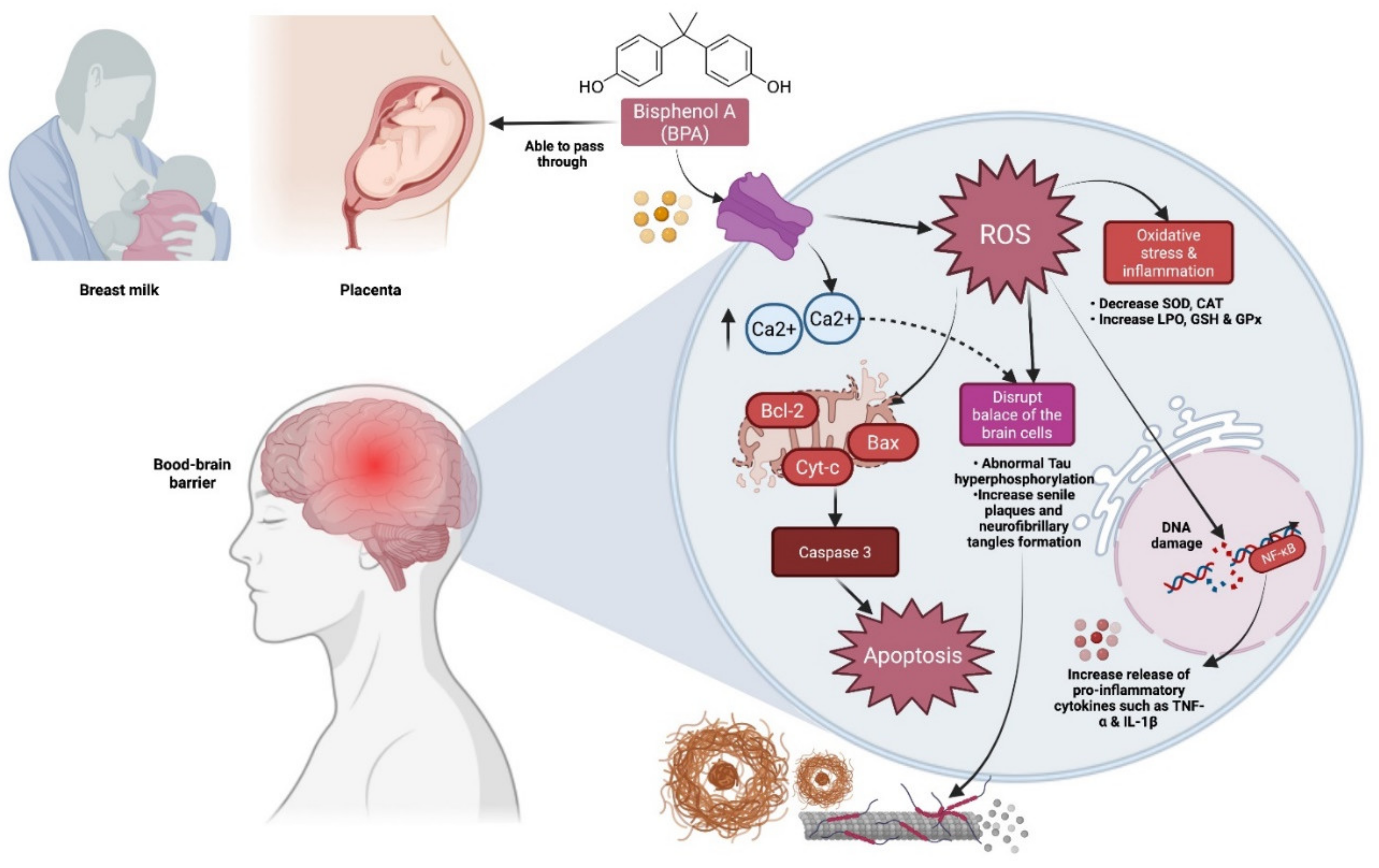 Molecules 27 02572 g001