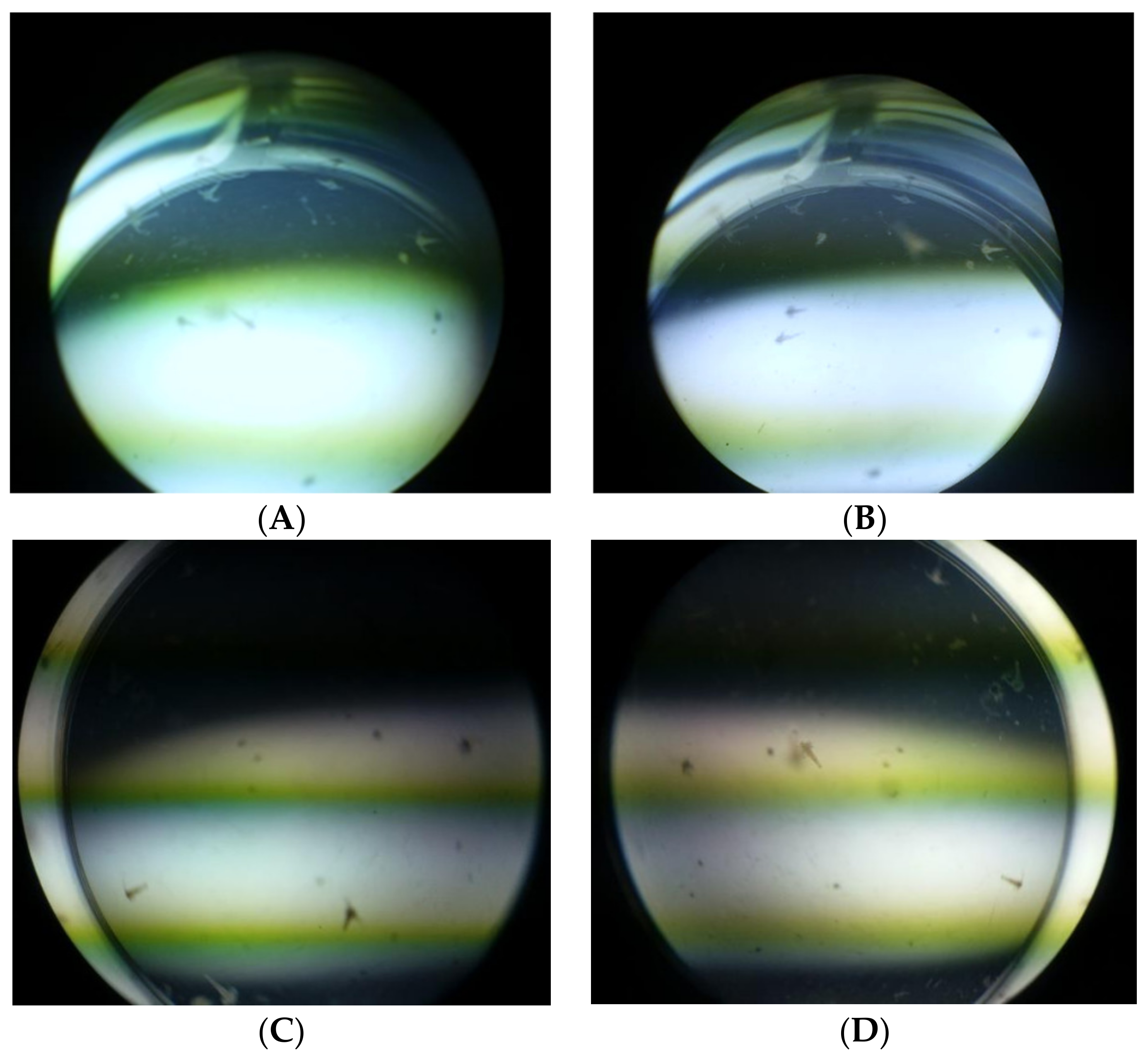 Molecules 27 02572 g002