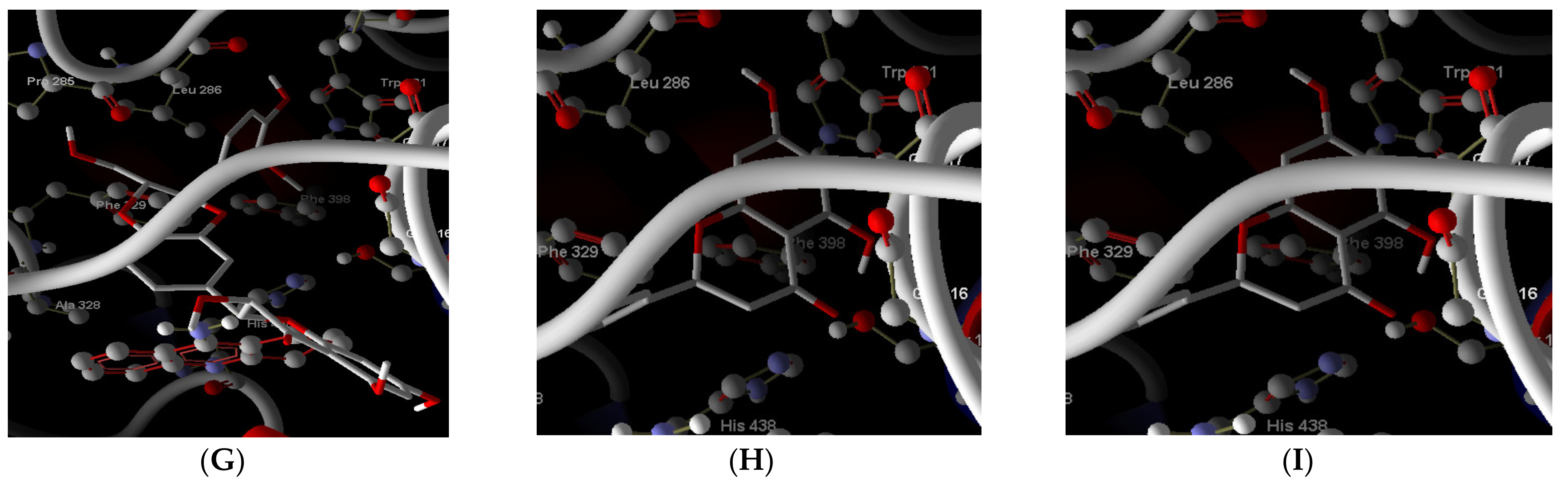 Molecules 27 02572 g006b