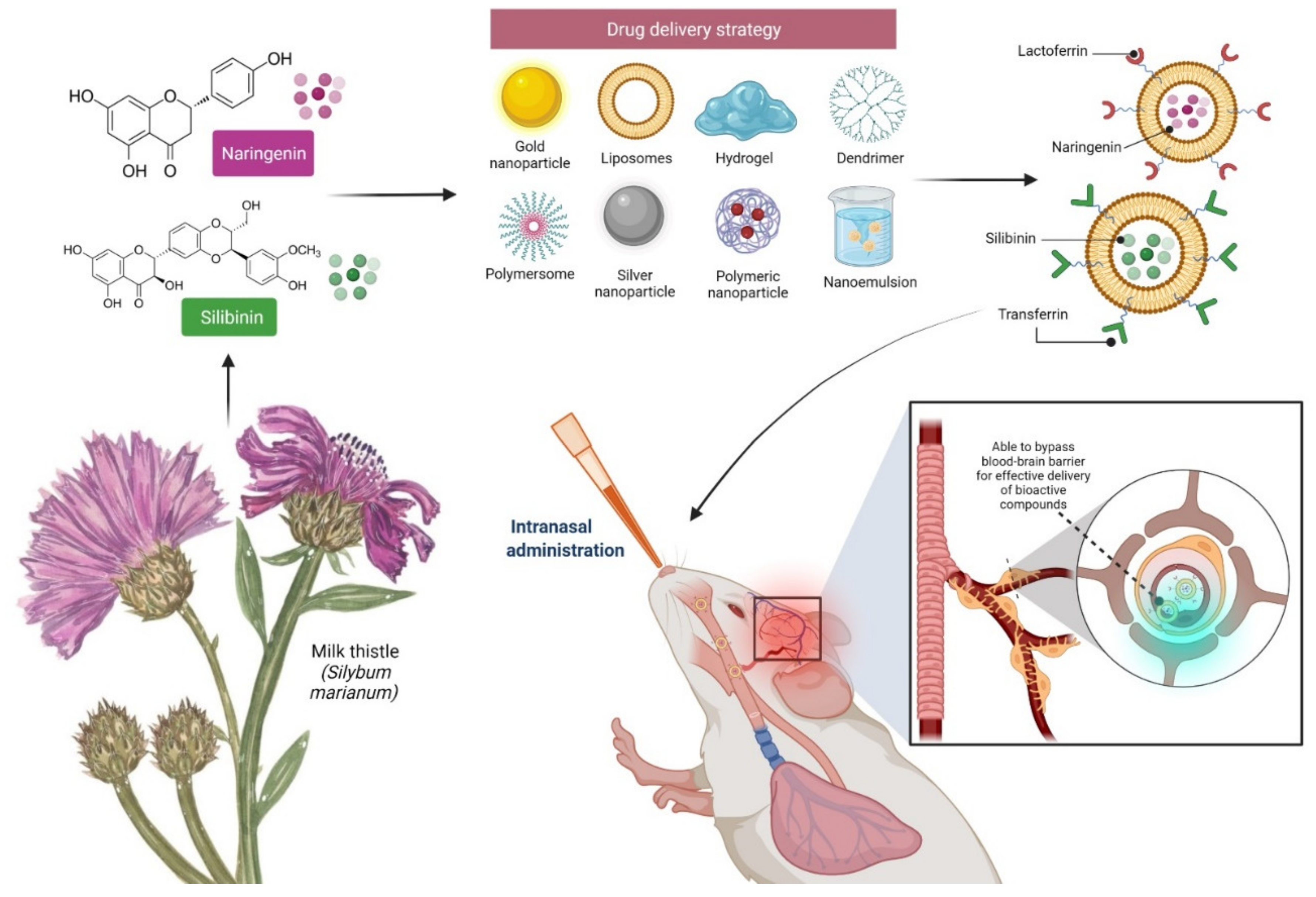 Molecules 27 02572 g007